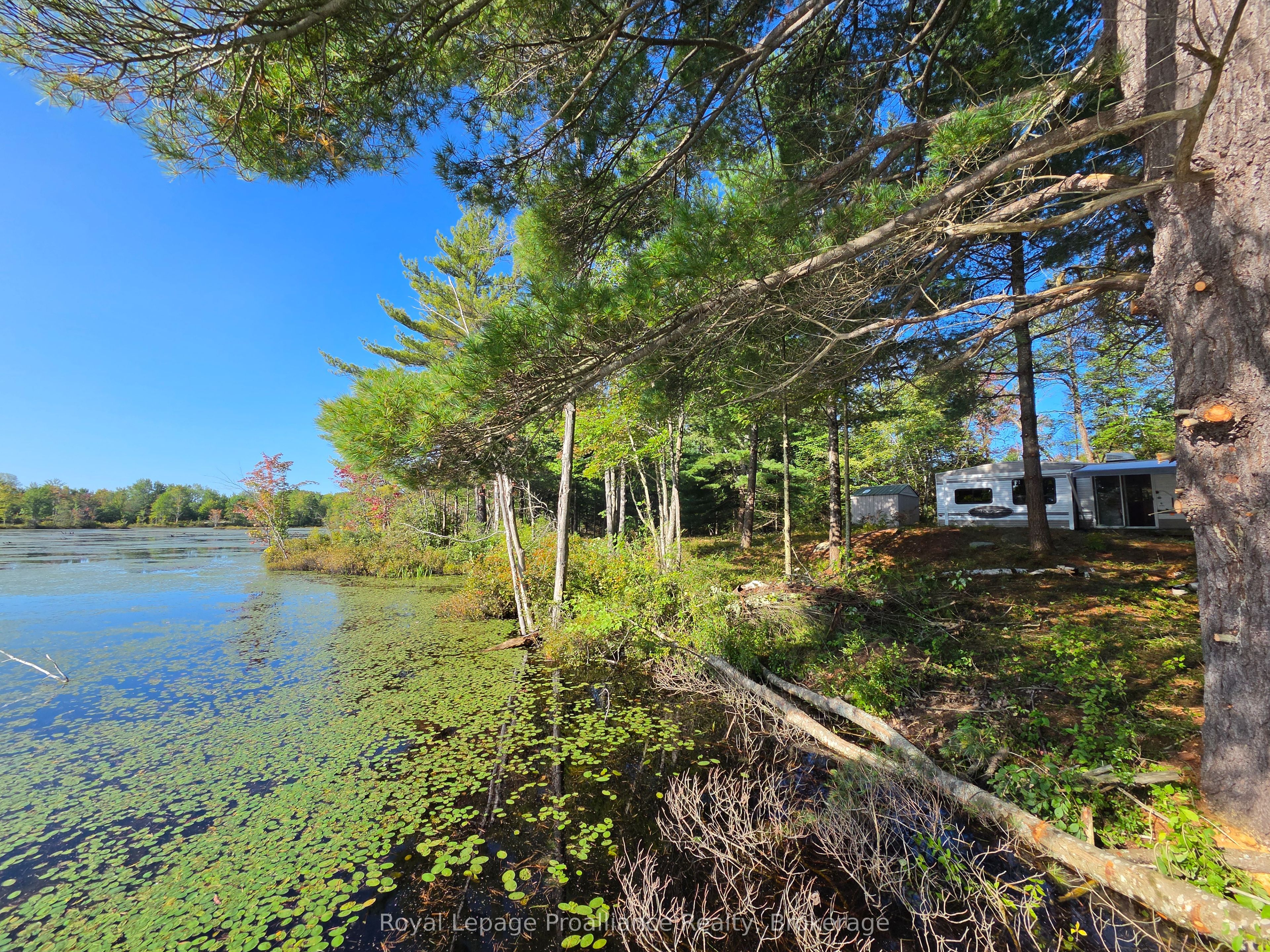 292 Hartin Road Property Photo 28