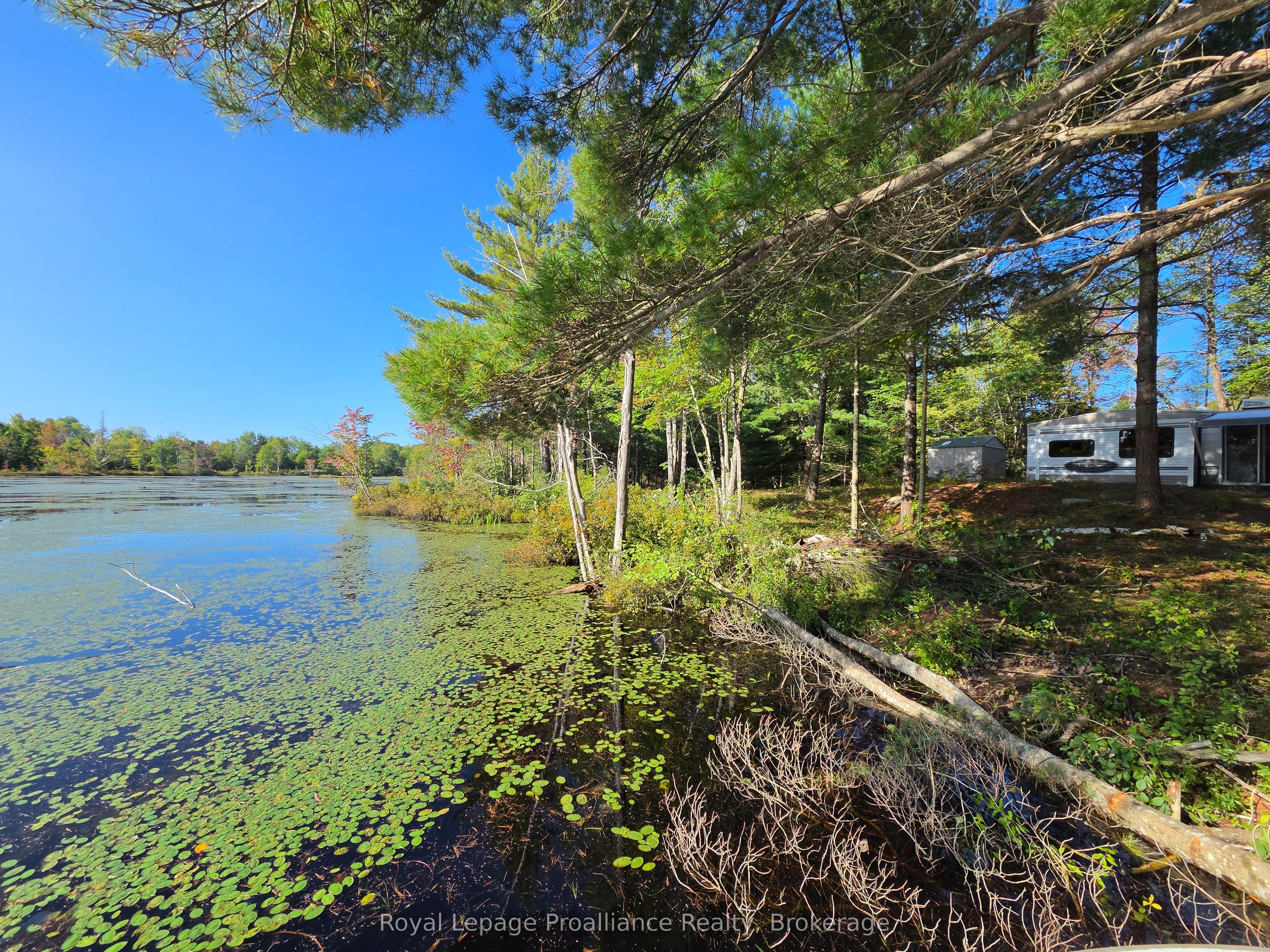 292 Hartin Road Property Photo 29