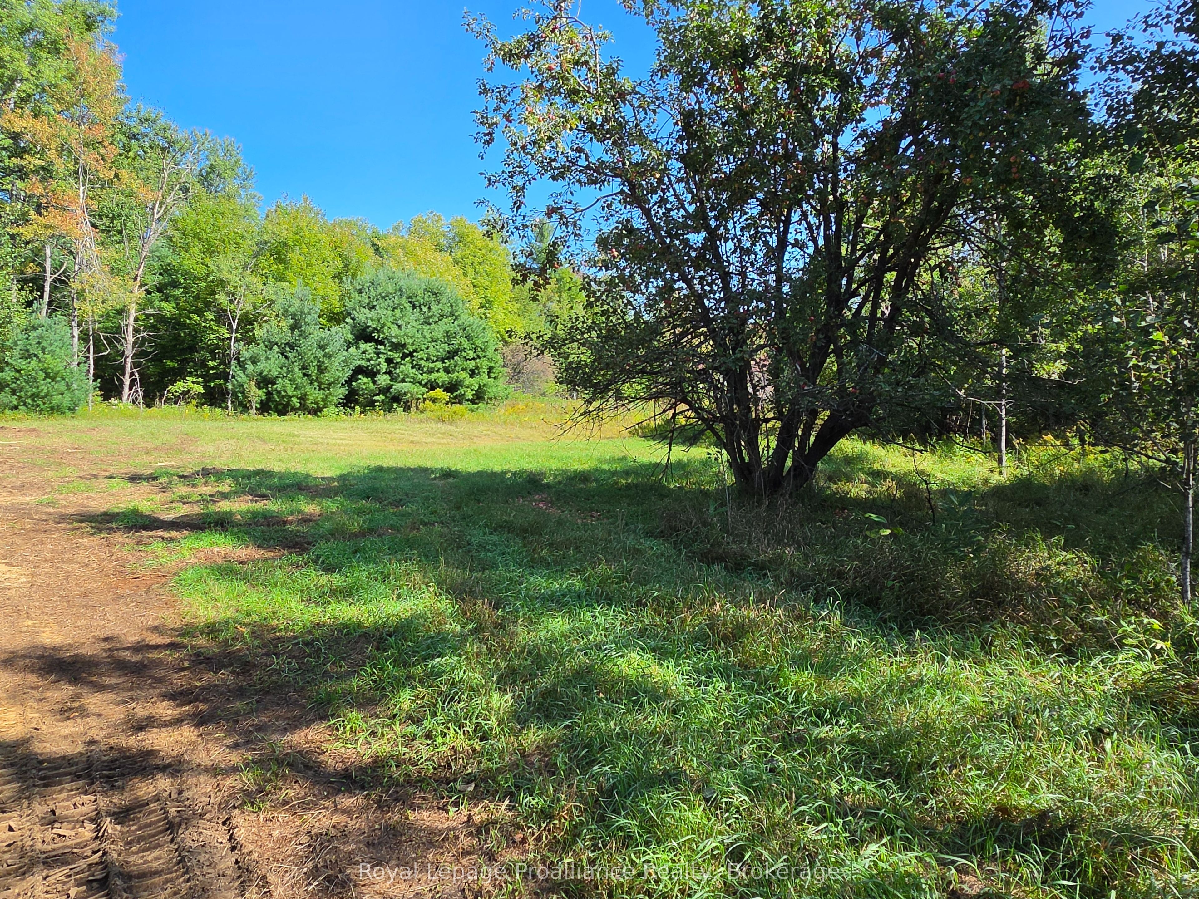 292 Hartin Road Property Photo 34