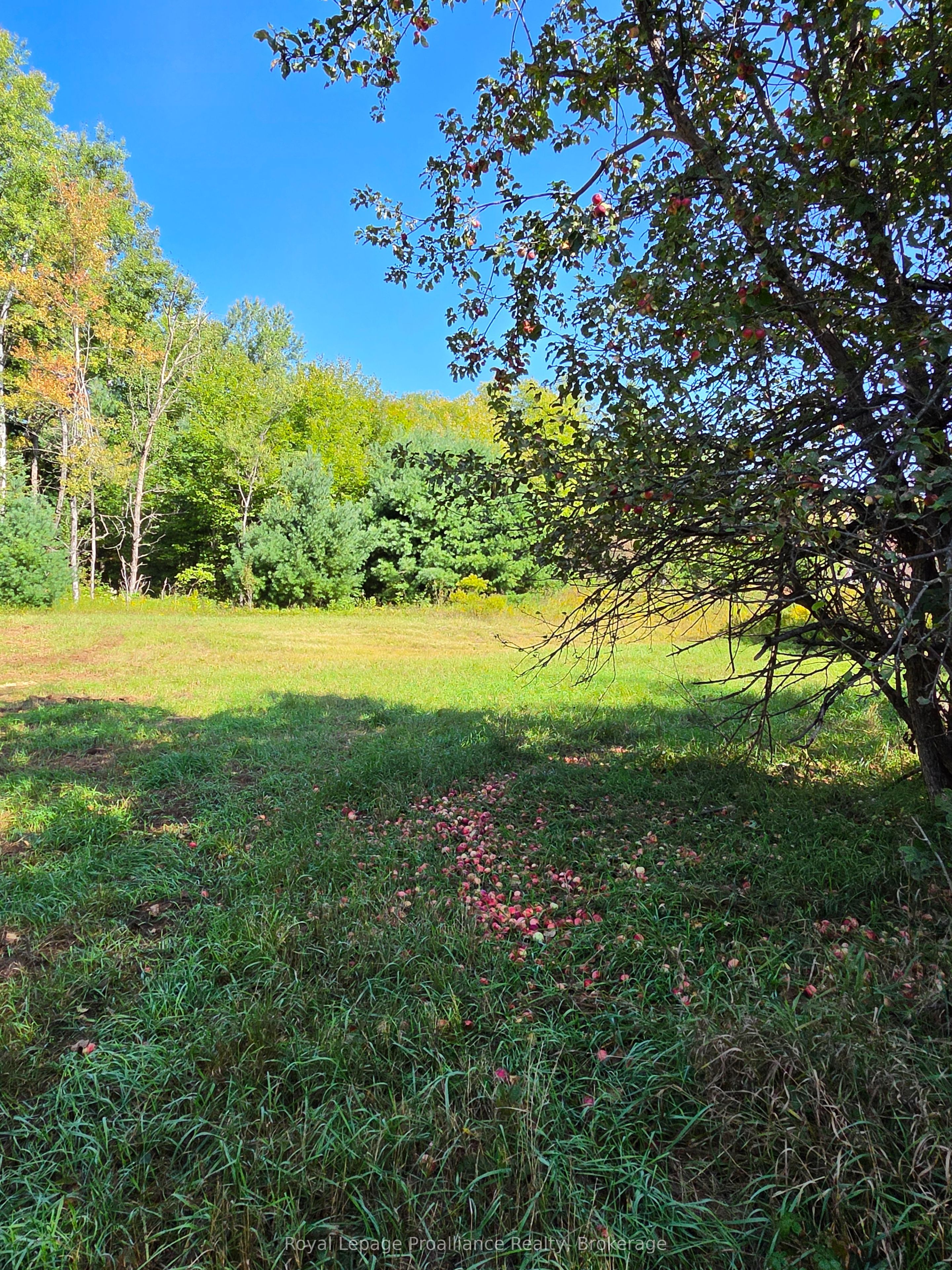 292 Hartin Road Property Photo 35