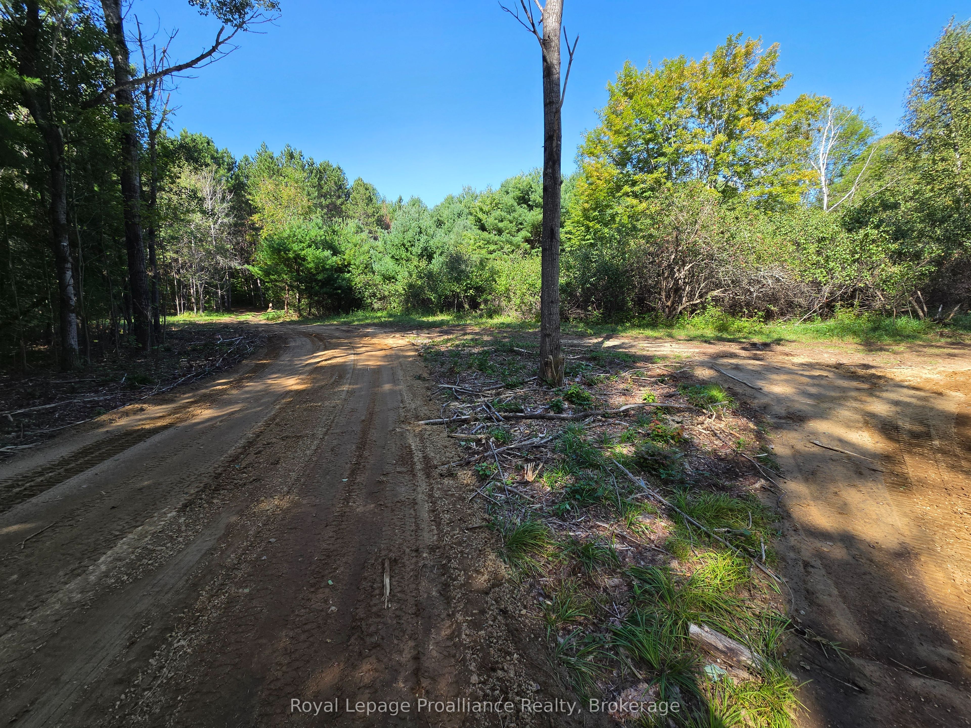 292 Hartin Road Property Photo 36