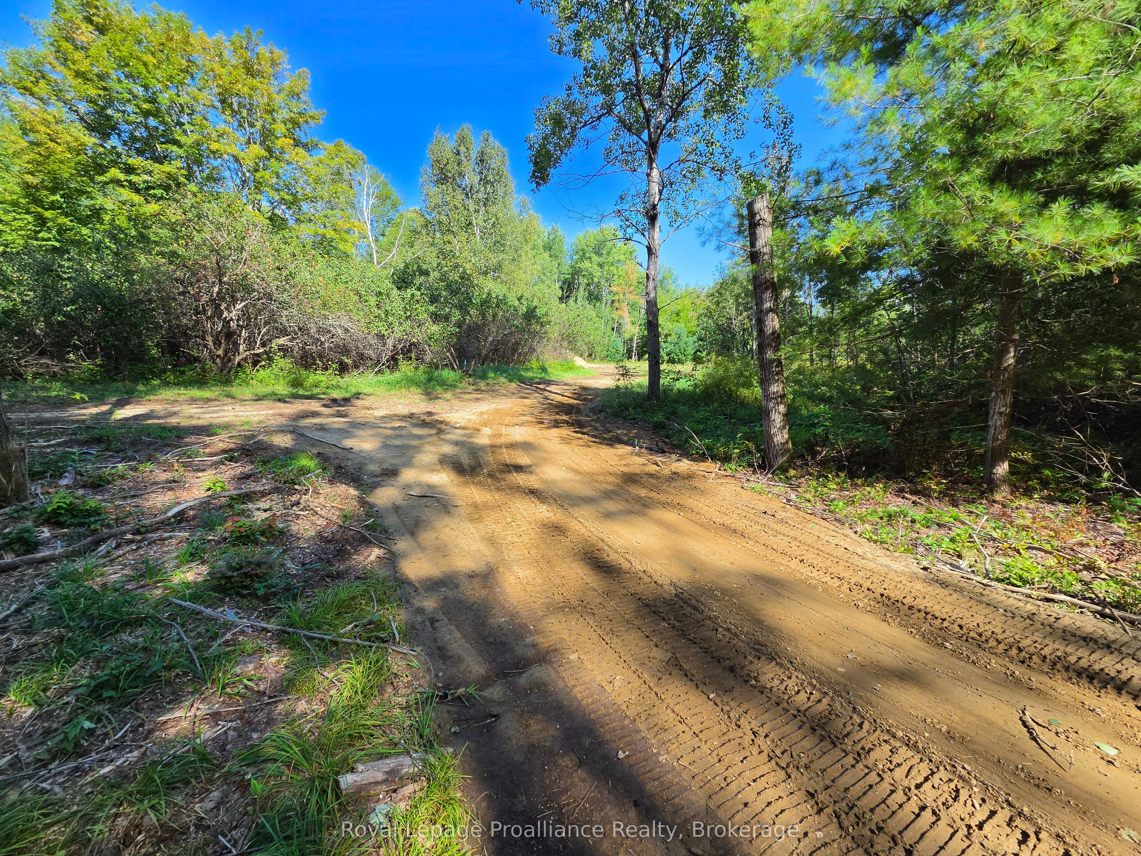 292 Hartin Road Property Photo 37