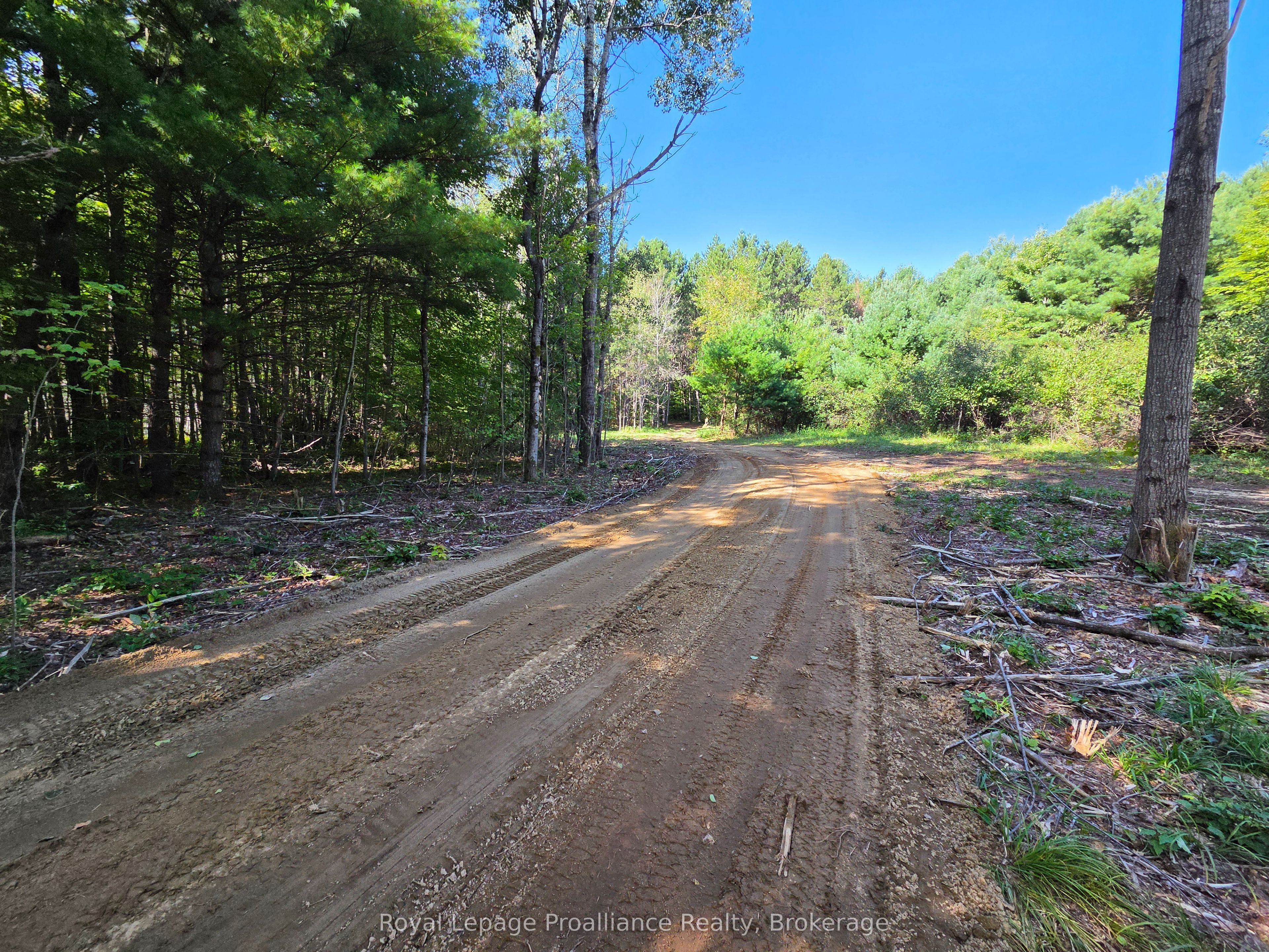 292 Hartin Road Property Photo 38