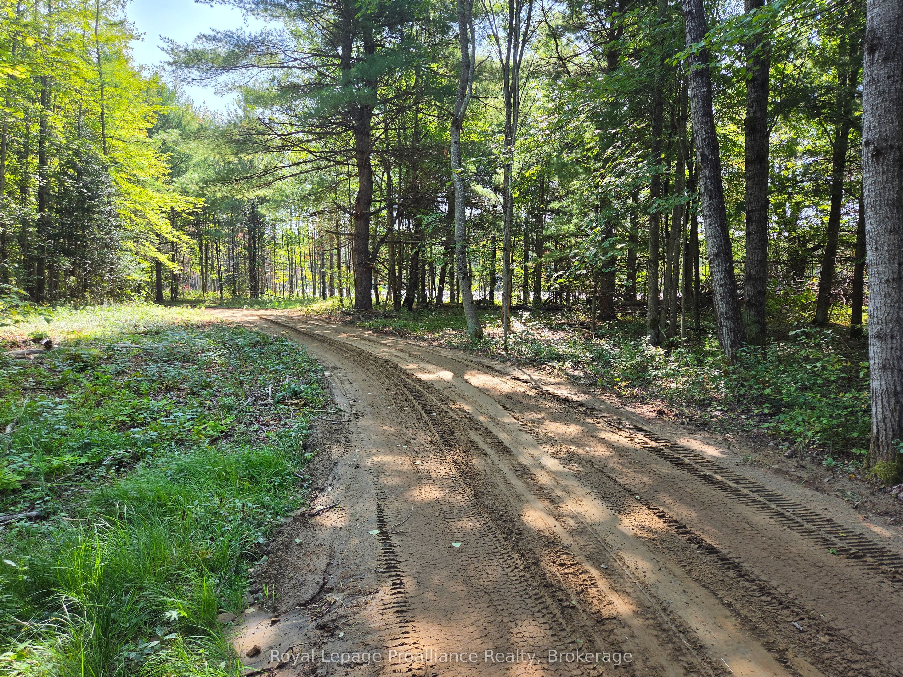 292 Hartin Road Property Photo 39