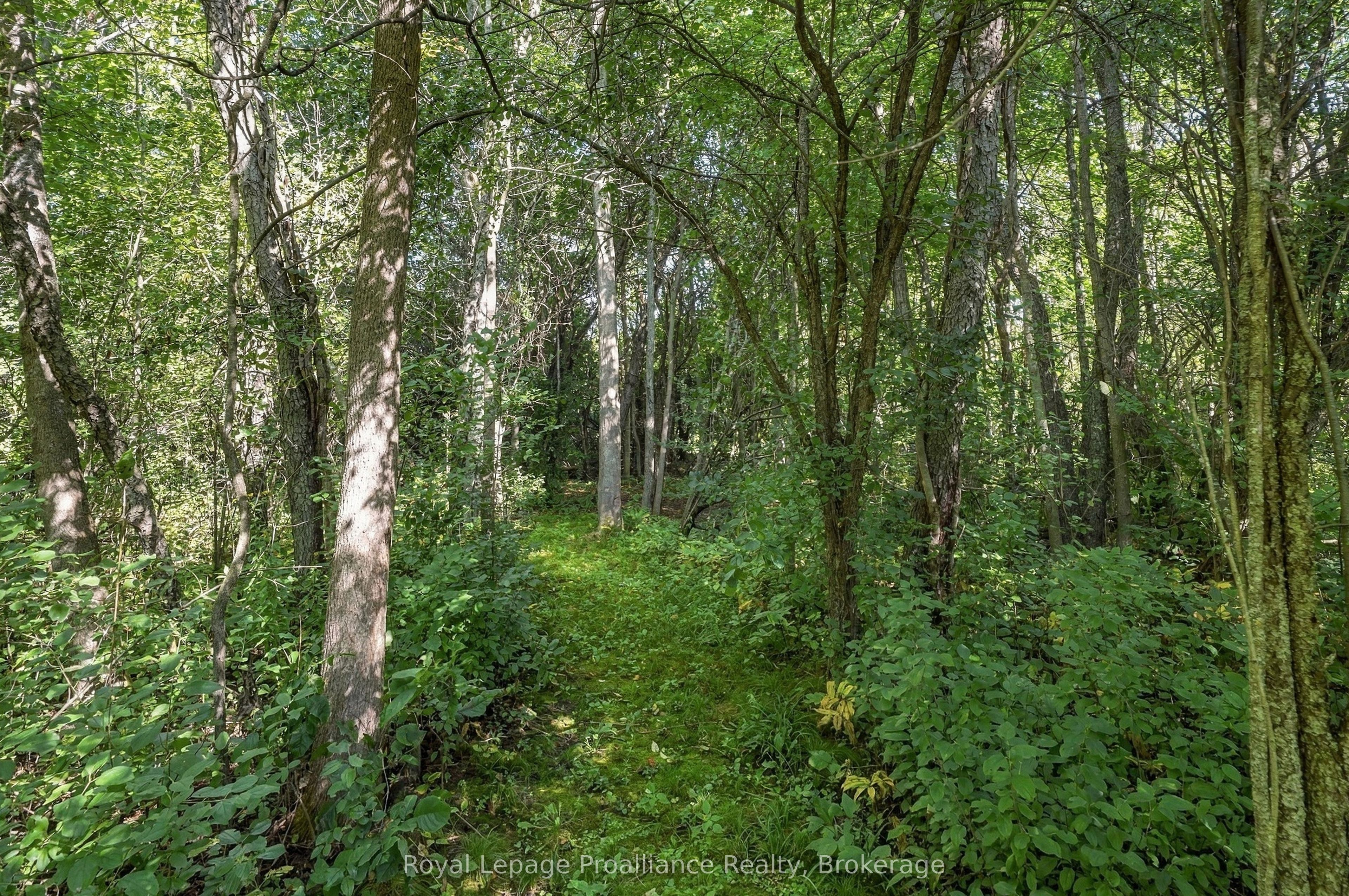 630 English Settlement Road Property Photo 48