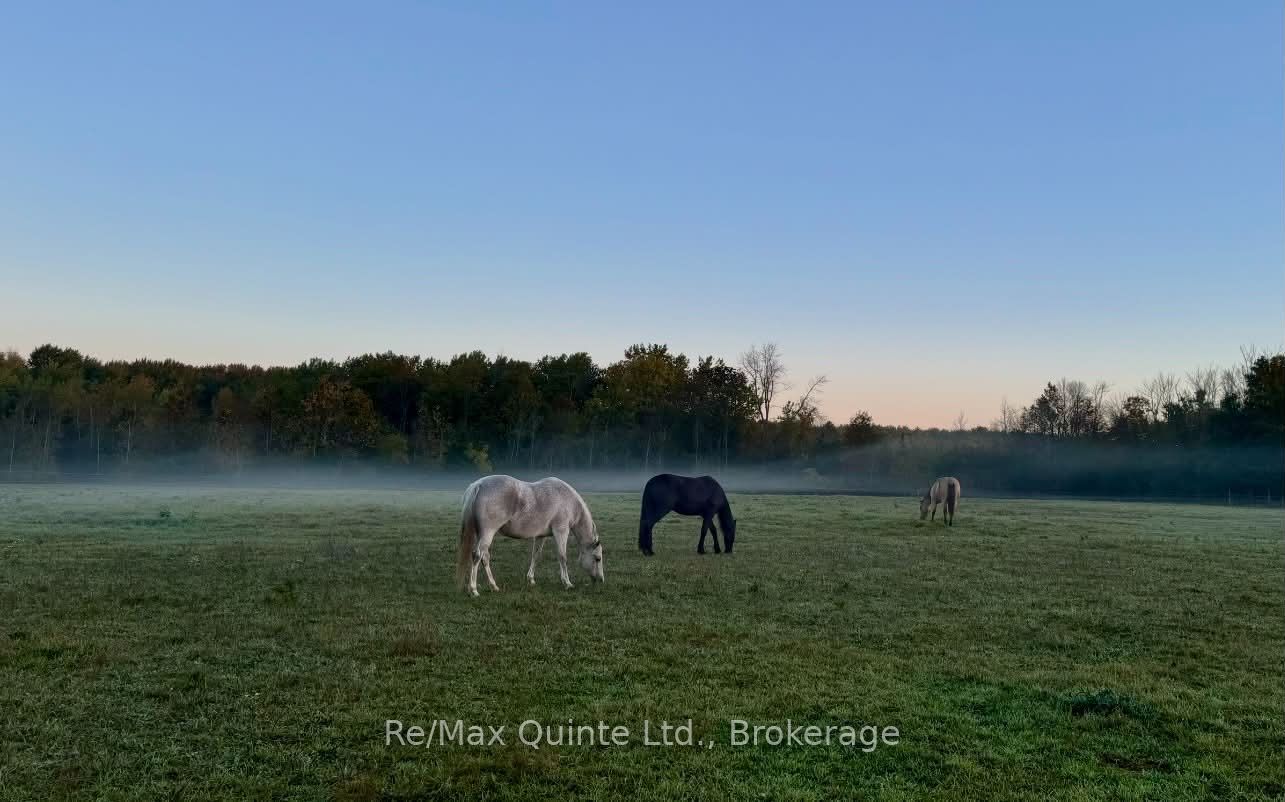 794 English Settlement Road Property Photo 40