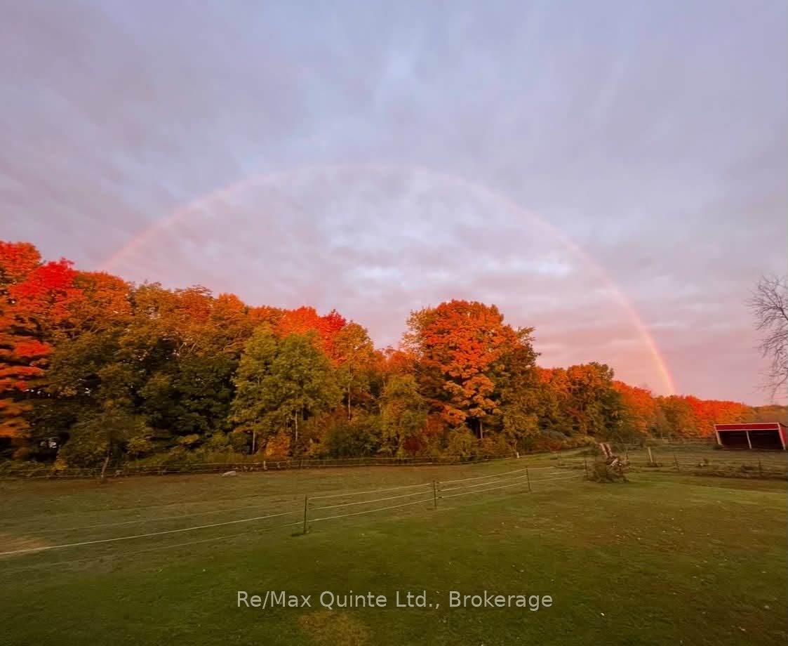 794 English Settlement Road Property Photo 46