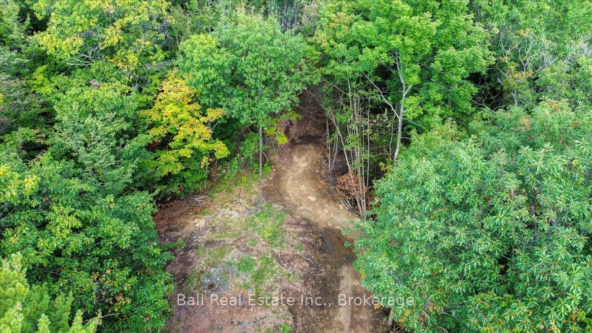0 Old Hastings Road Property Photo 7