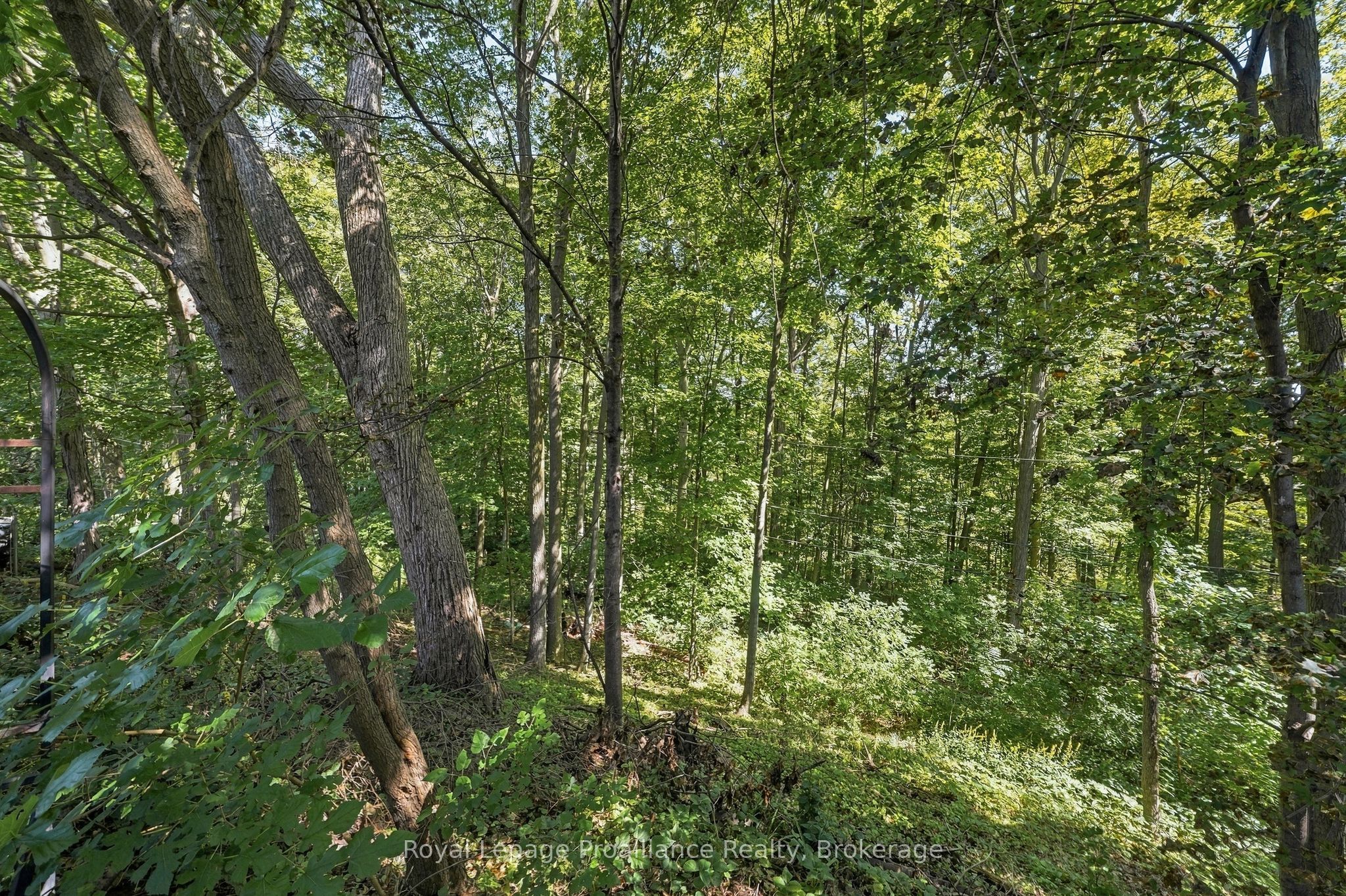 36 Parkview Heights Property Photo 50