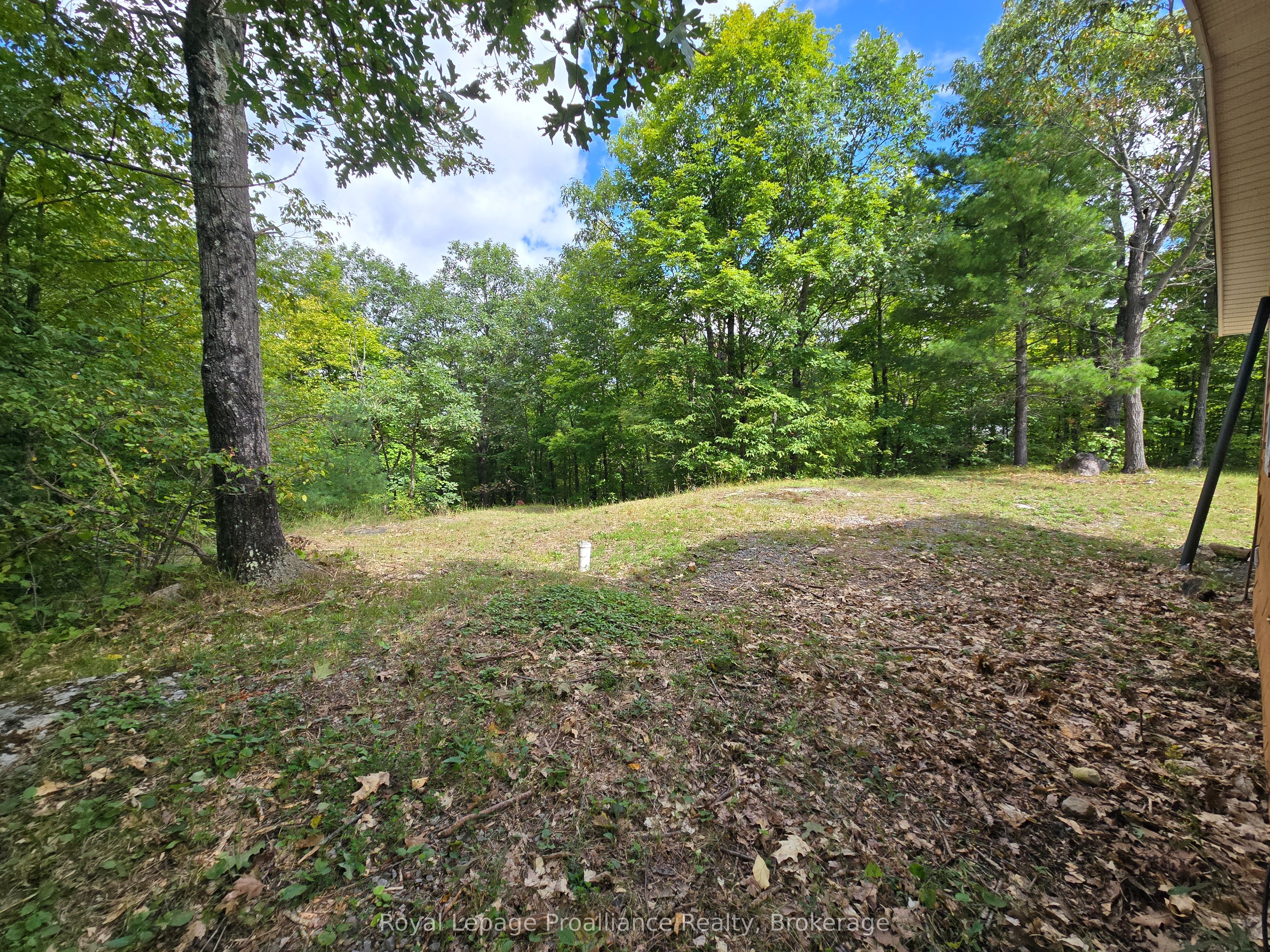 1319 Baker Valley Road Property Photo 21
