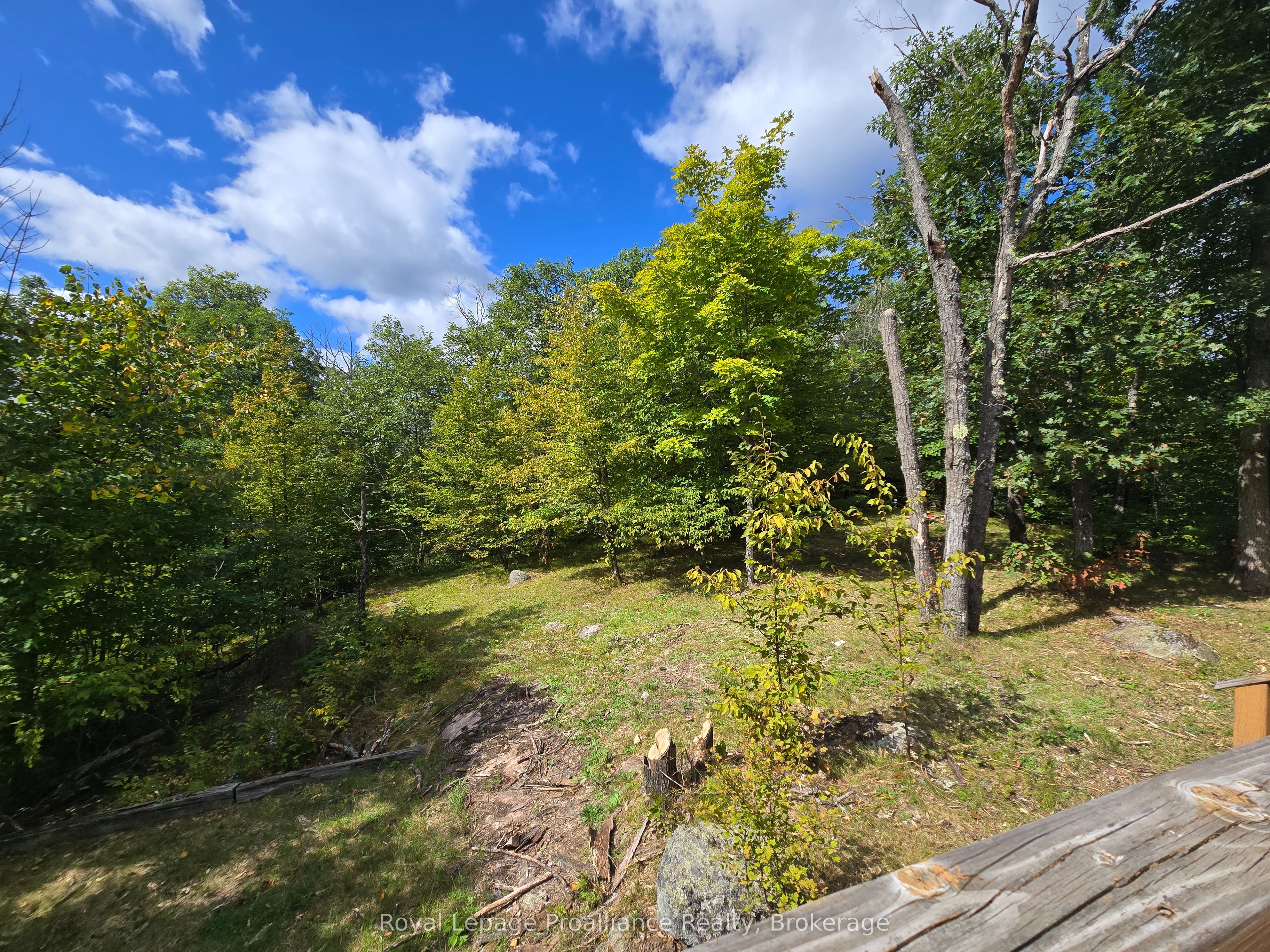 1319 Baker Valley Road Property Photo 29