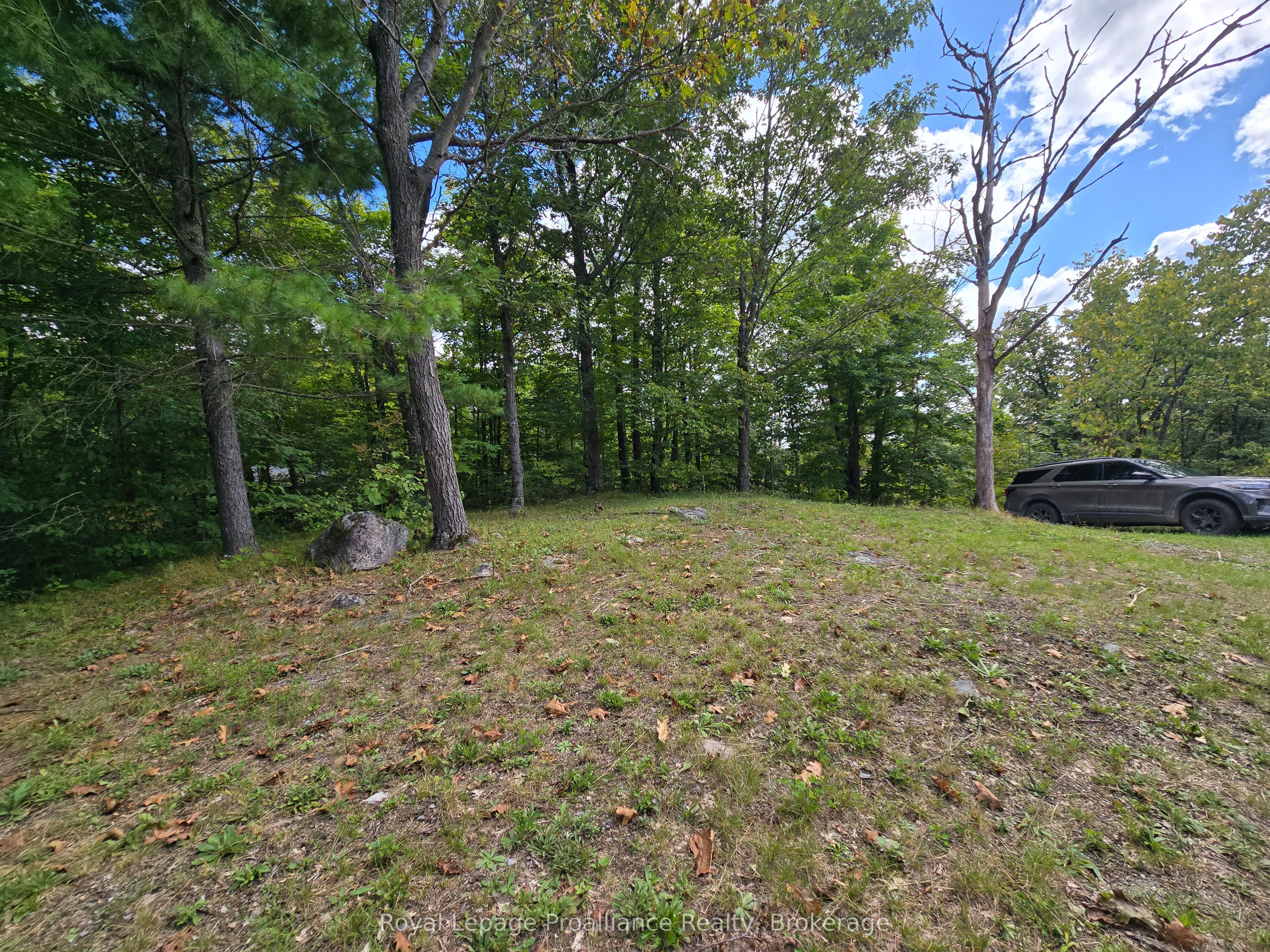 1319 Baker Valley Road Property Photo 30