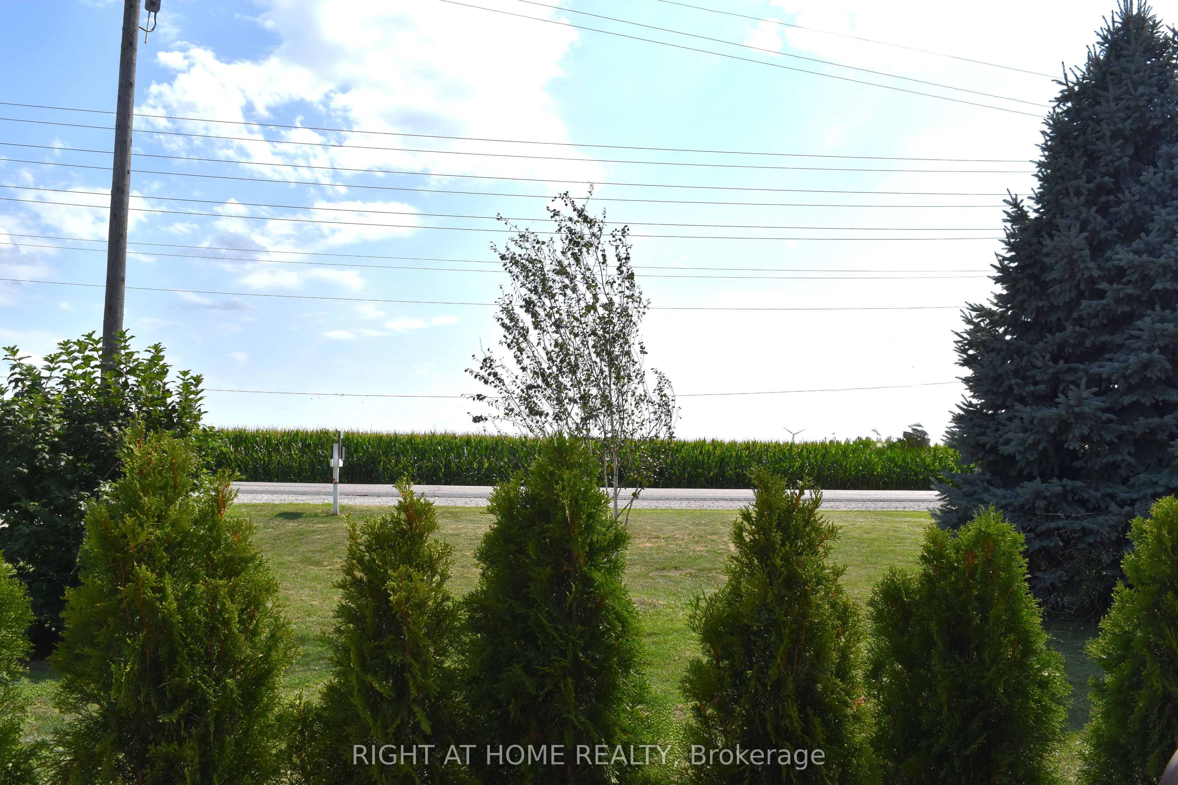 7231 Baseline Road E Property Photo 40