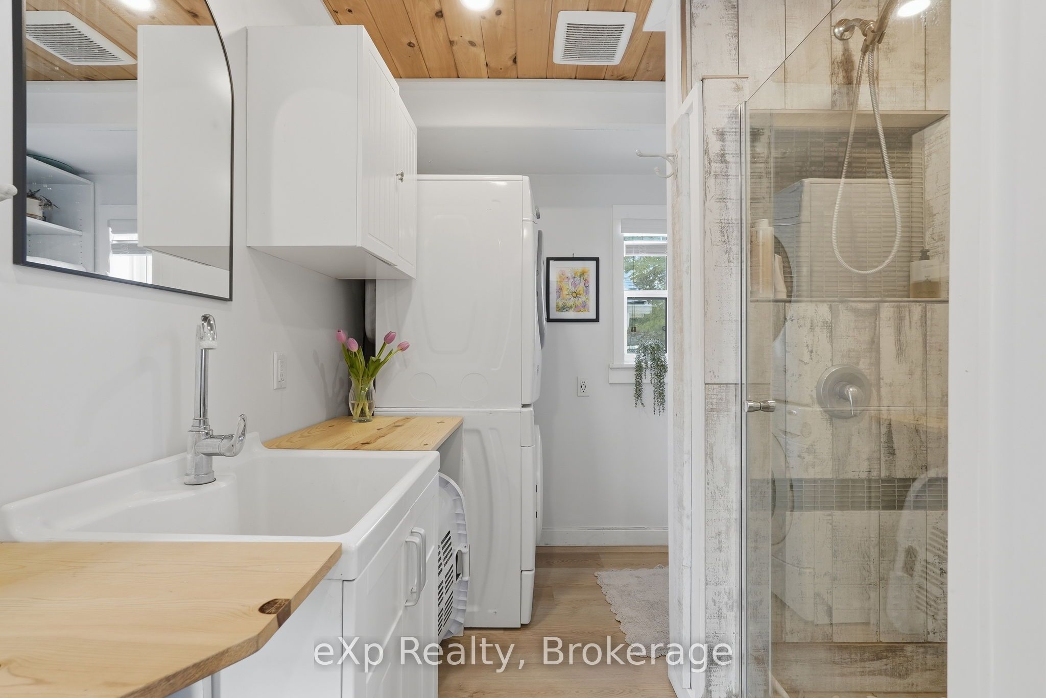 255 Waterloo Street Property Photo 10