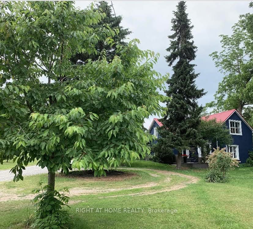393 Canboro Road Property Photo 2