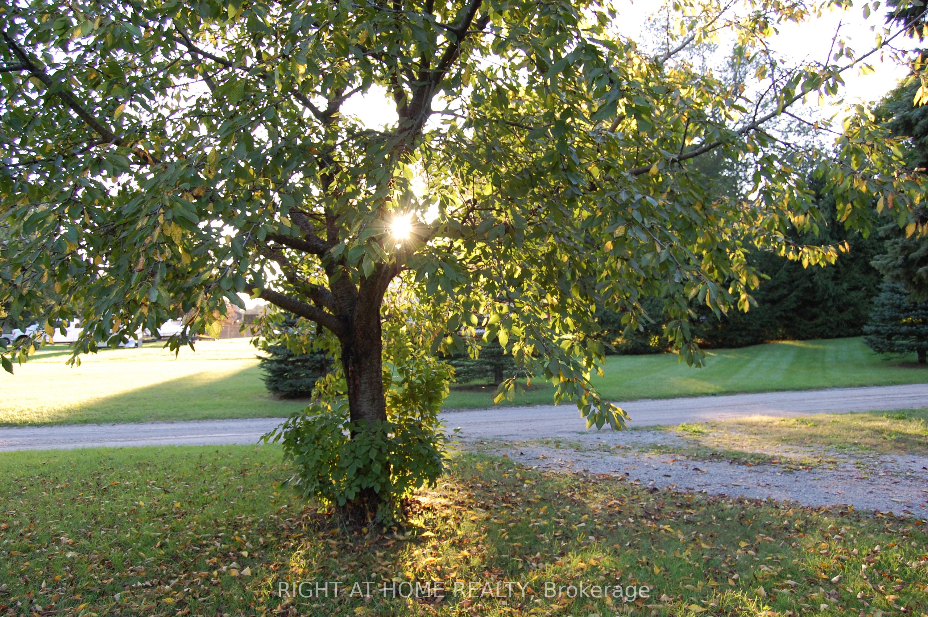 393 Canboro Road Property Photo 23