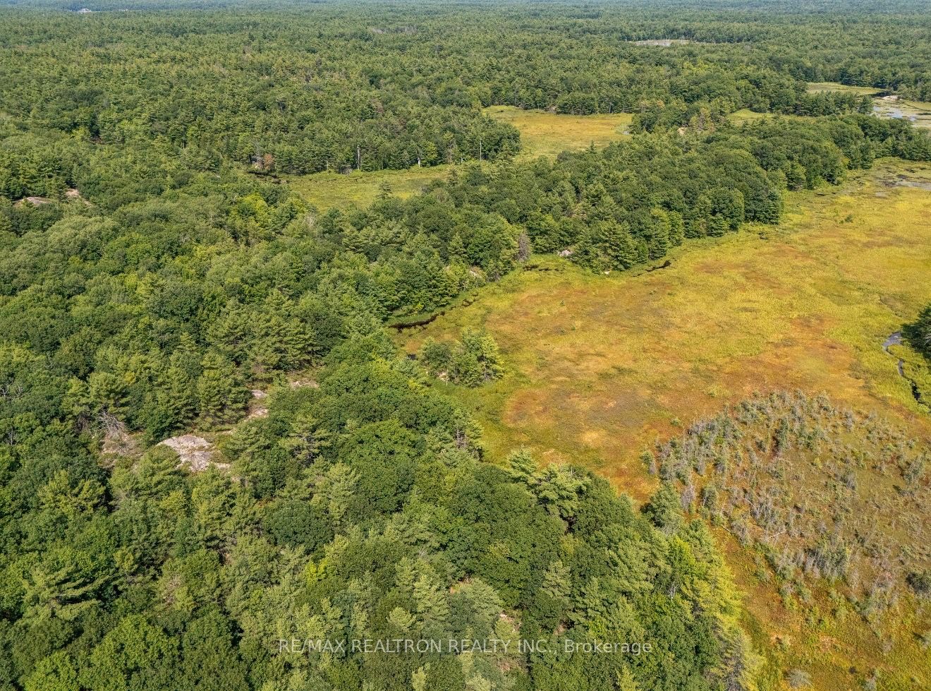 13610 Georgian Bay Shore Property Photo 4