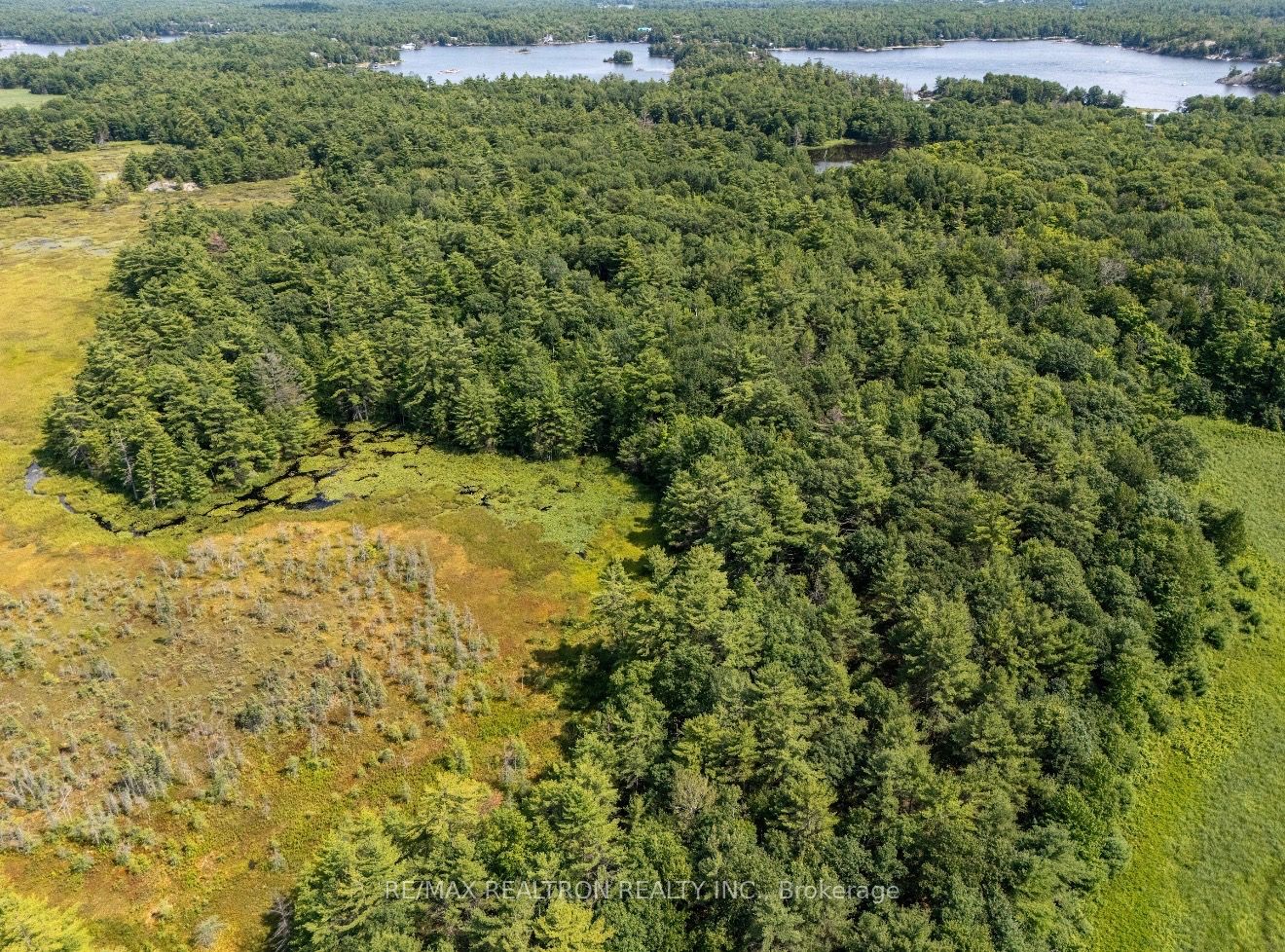 13610 Georgian Bay Shore Property Photo 5