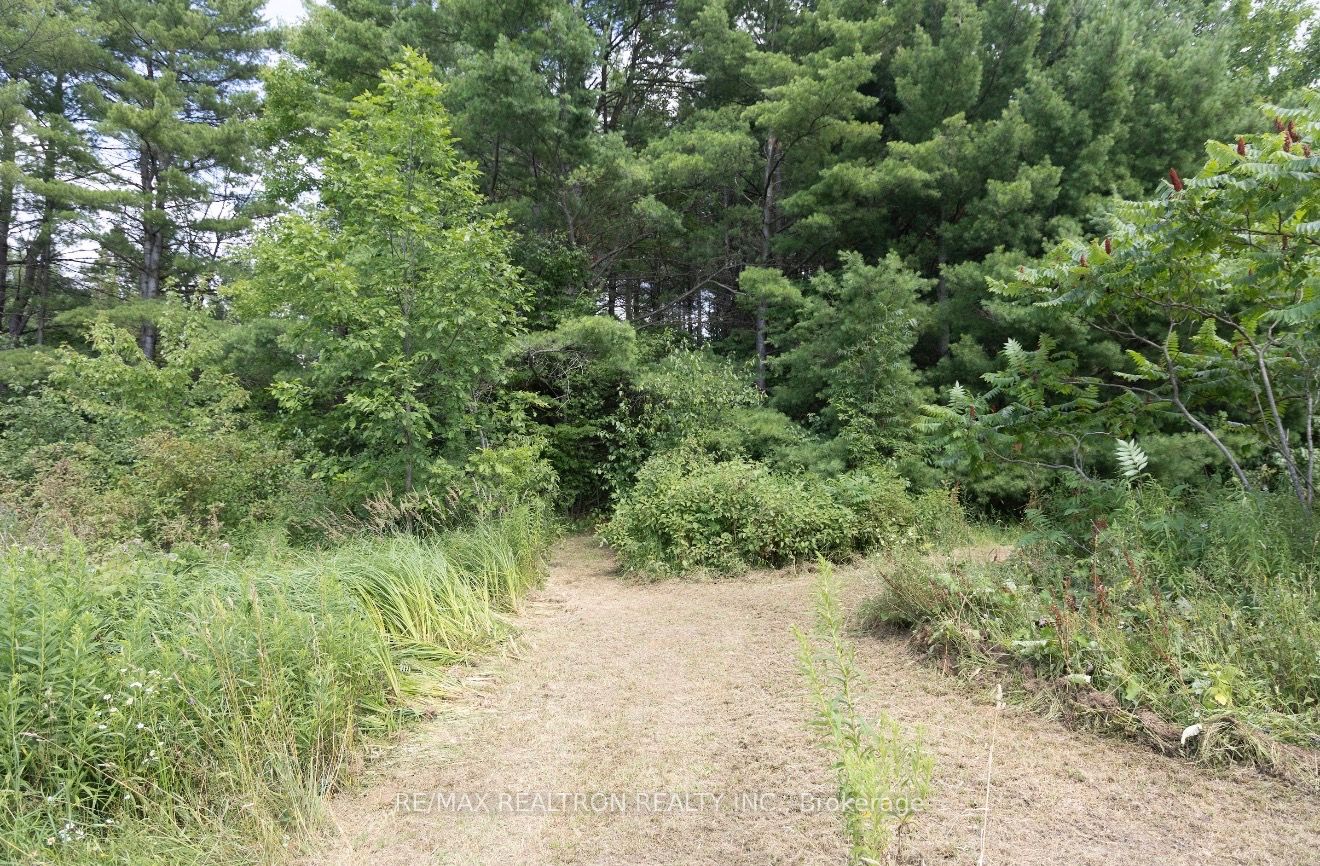 13610 Georgian Bay Shore Property Photo 10
