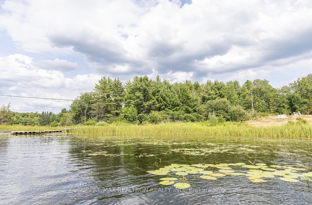 13610 Georgian Bay Shore Property Photo 11