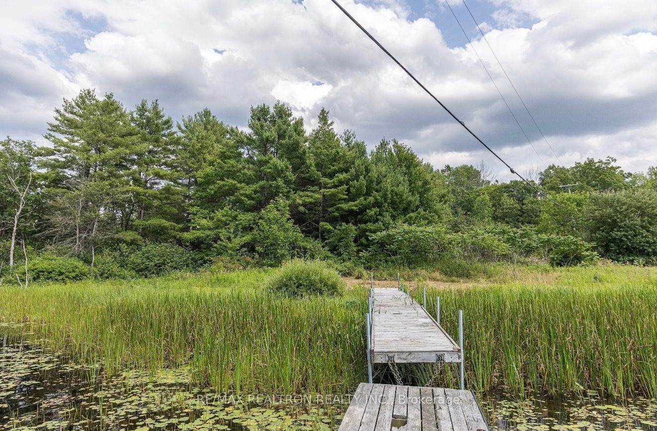 13610 Georgian Bay Shore Property Photo 12