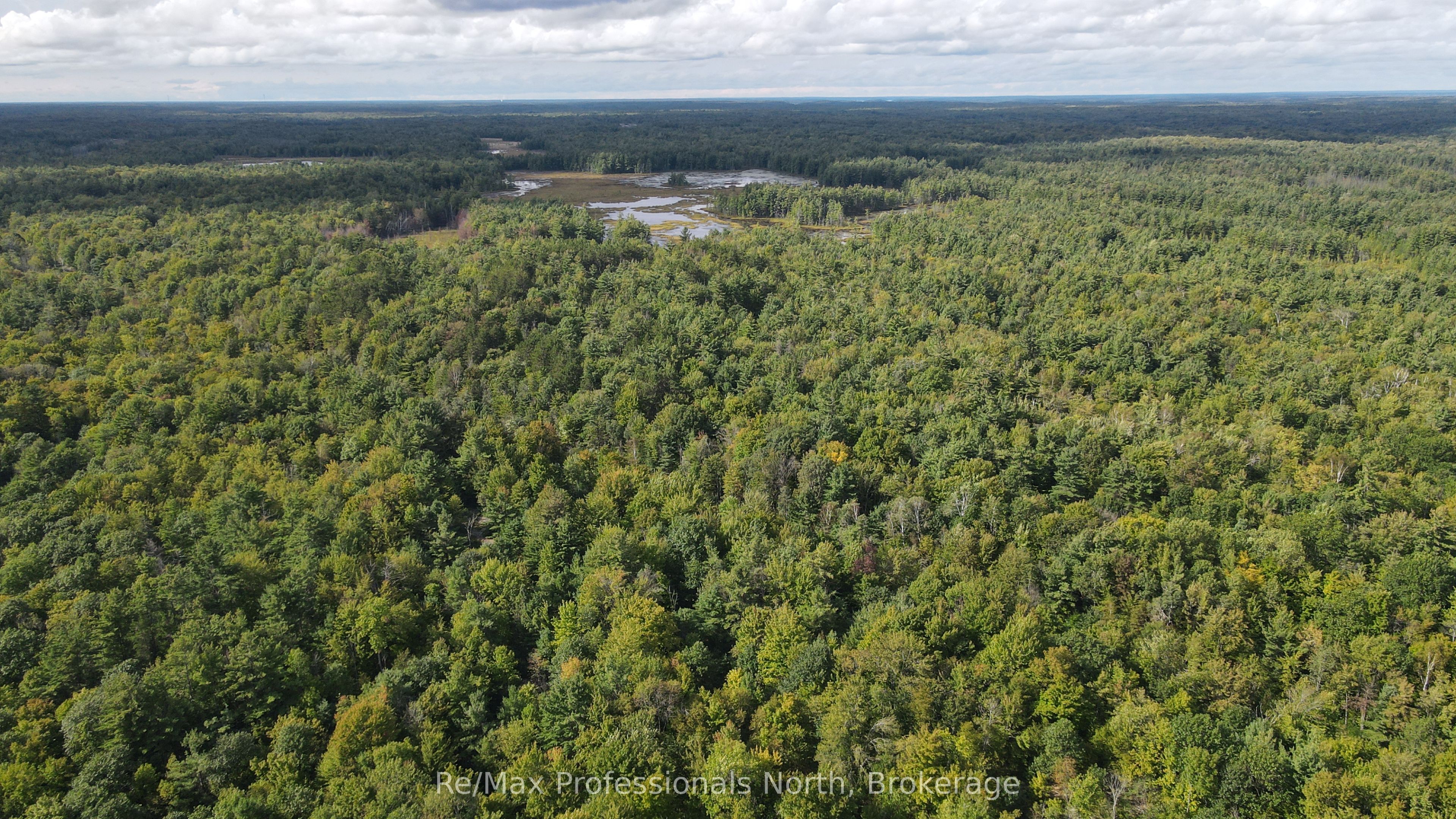 1268 Moon River Road Property Photo 4