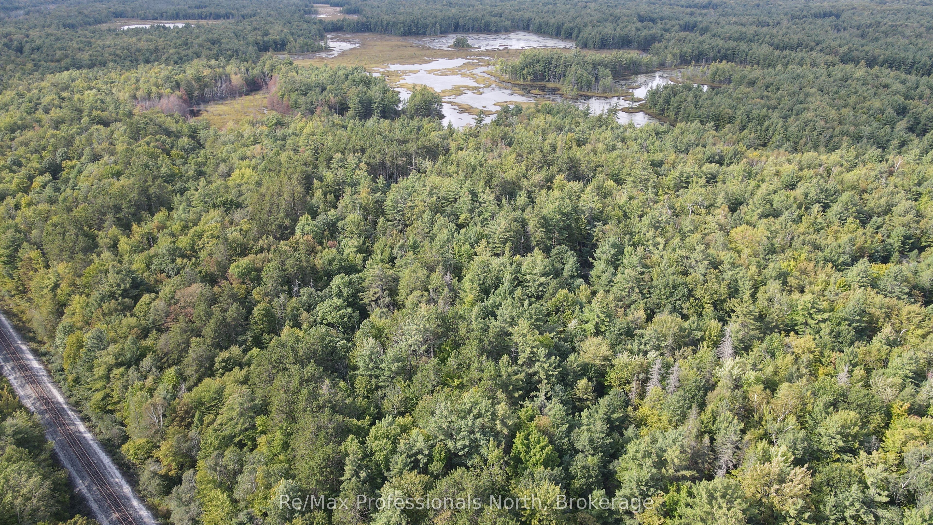 1268 Moon River Road Property Photo 5