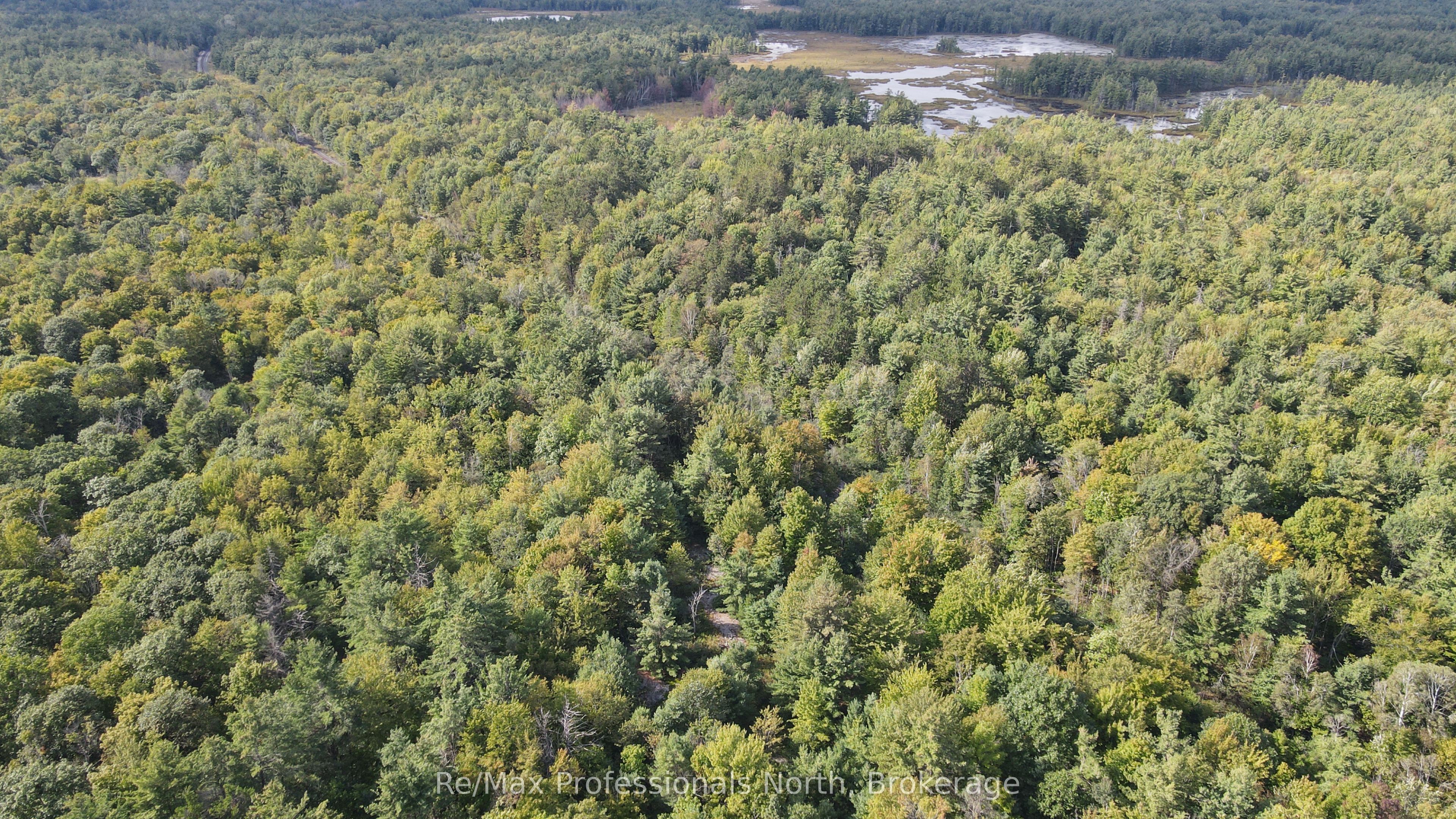 1268 Moon River Road Property Photo 9