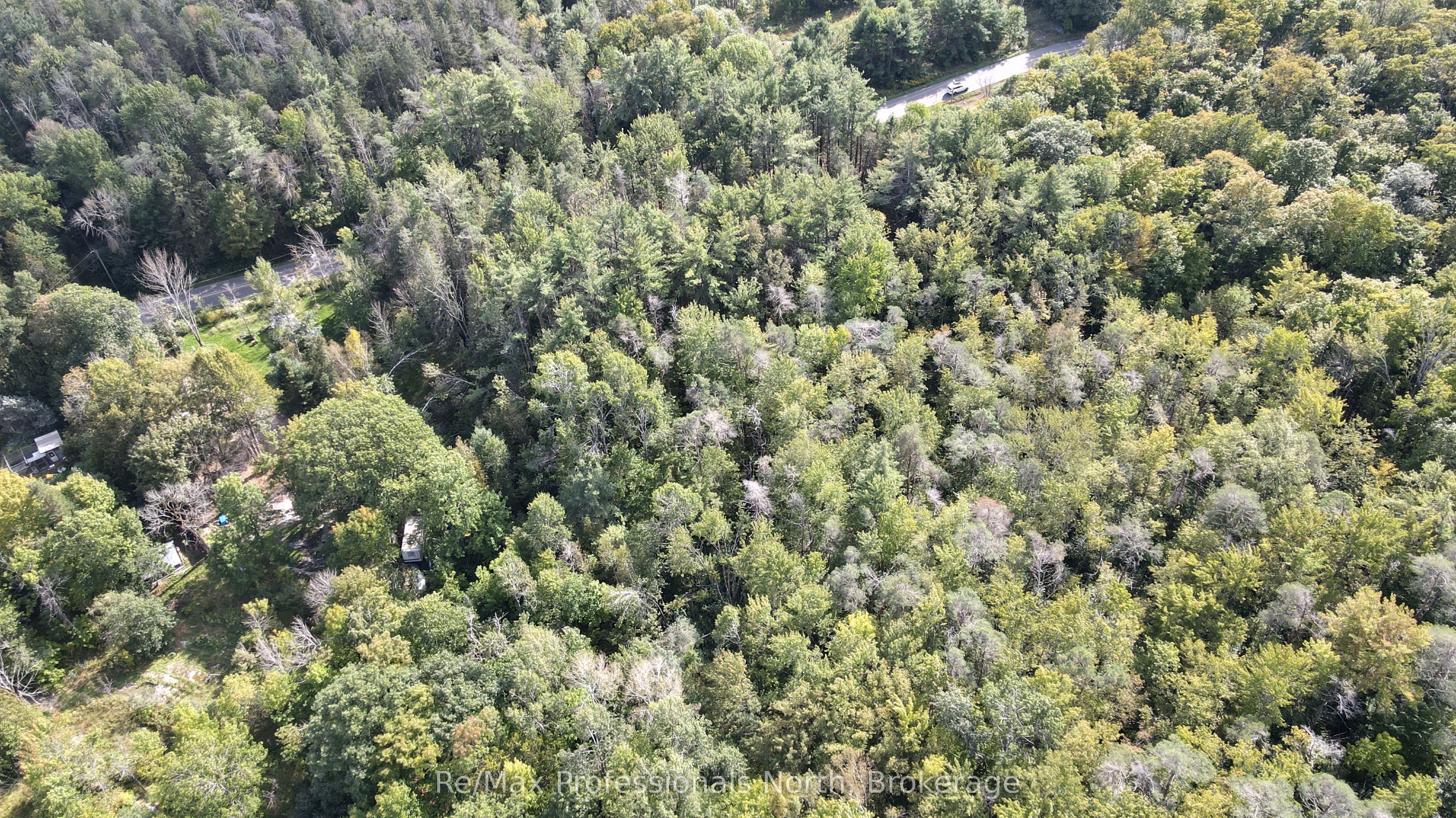 1268 Moon River Road Property Photo 10