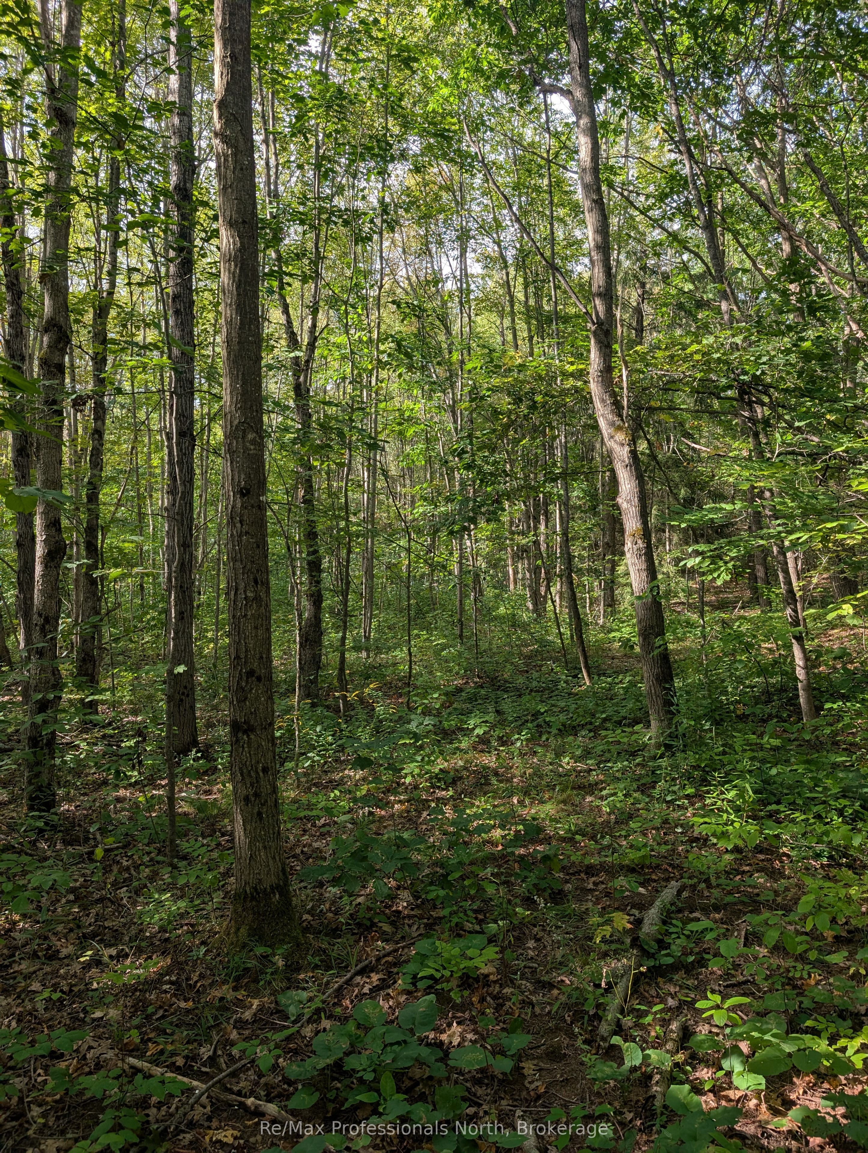 1268 Moon River Road Property Photo 11