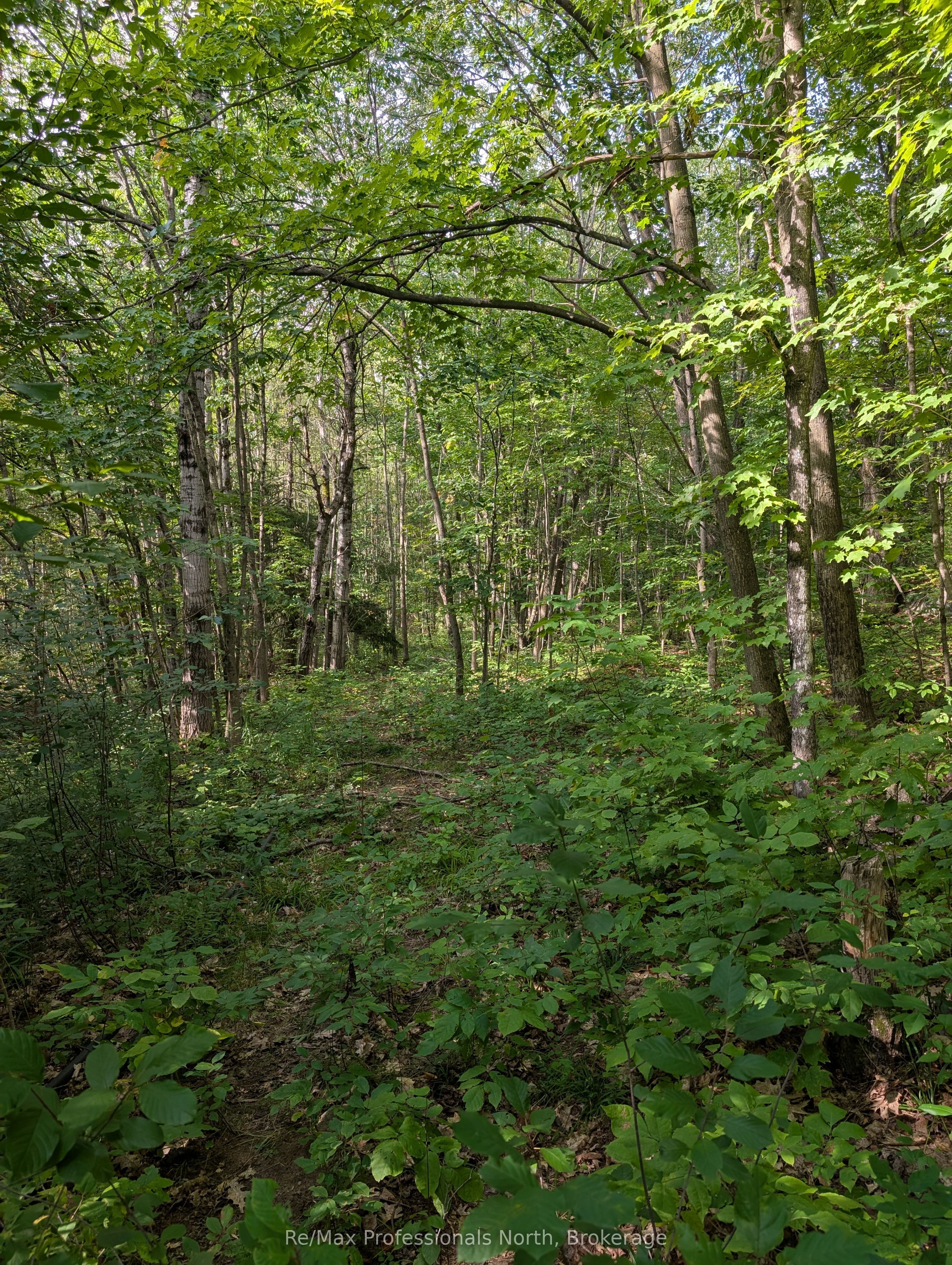 1268 Moon River Road Property Photo 12