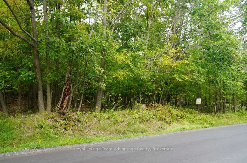 99 Carling Bay Road E Property Photo 1