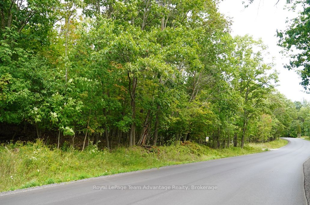 99 Carling Bay Road E Property Photo 2