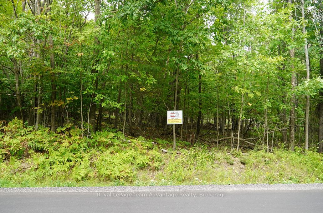 99 Carling Bay Road E Property Photo 5
