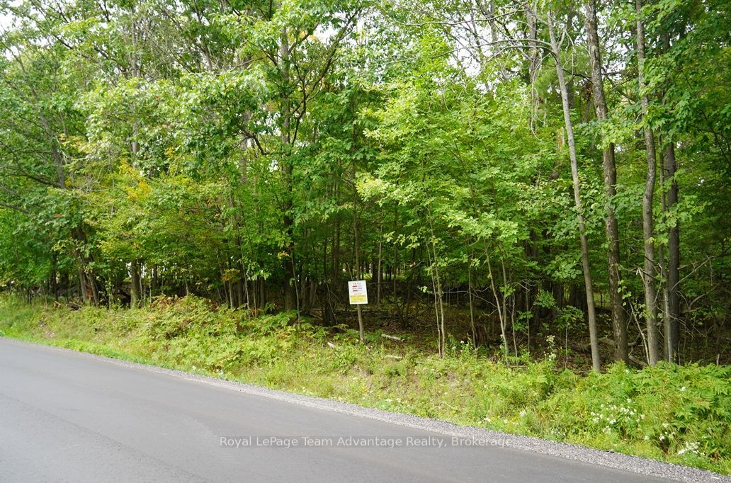 99 Carling Bay Road E Property Photo 6