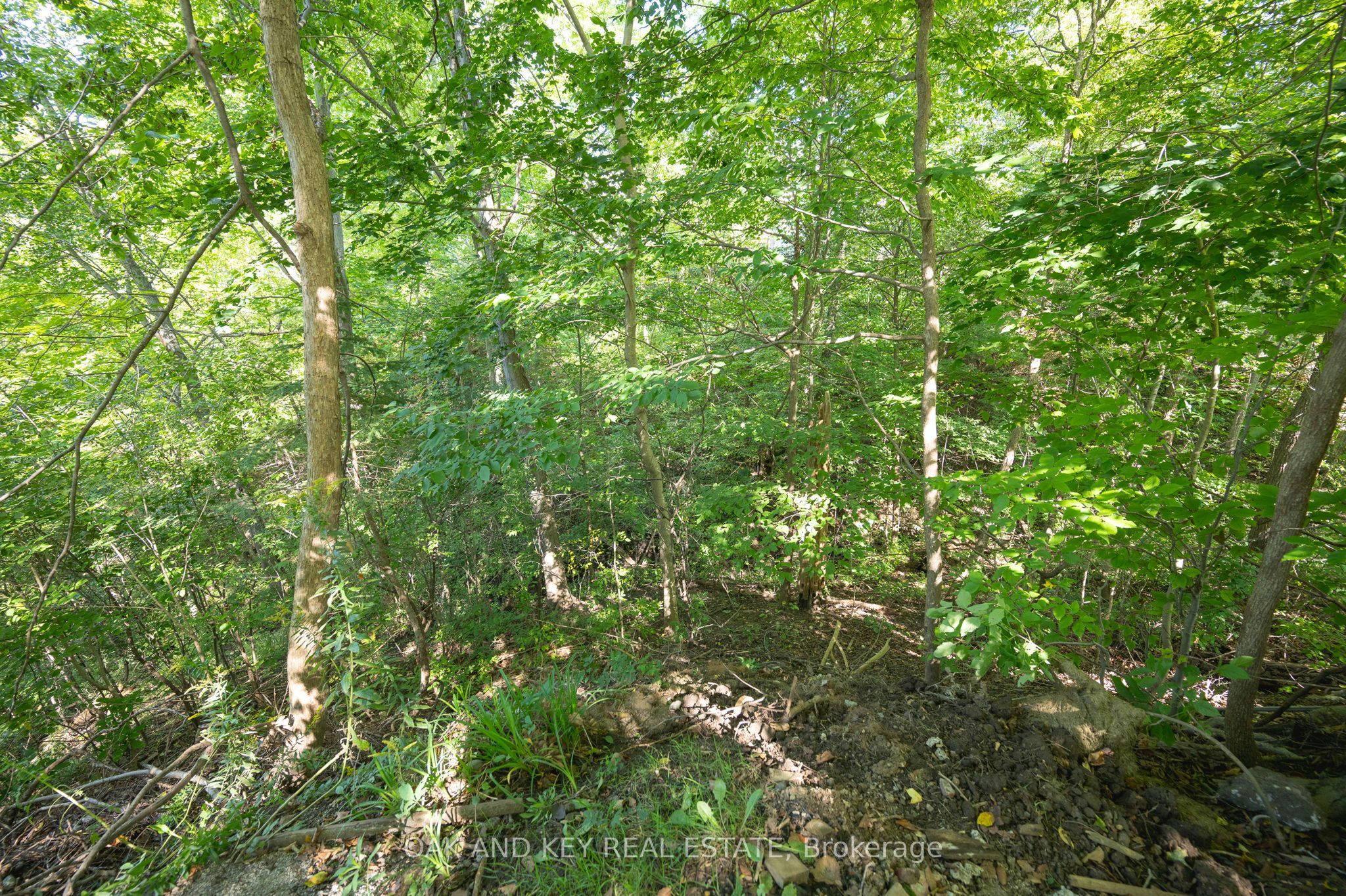 102 Crescent Avenue Property Photo 38