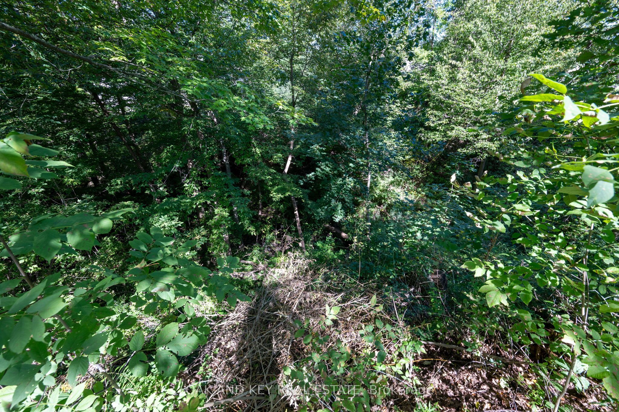 102 Crescent Avenue Property Photo 43