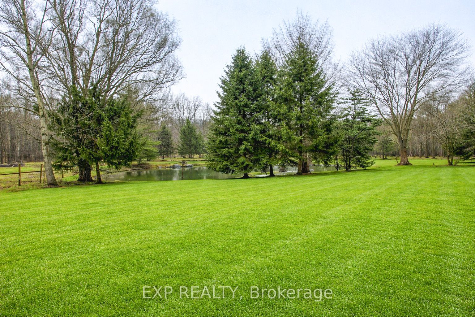 1970 Hollow Road Property Photo 46
