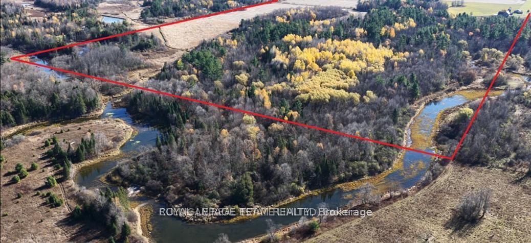 2315 Styles Side Road Property Photo 37