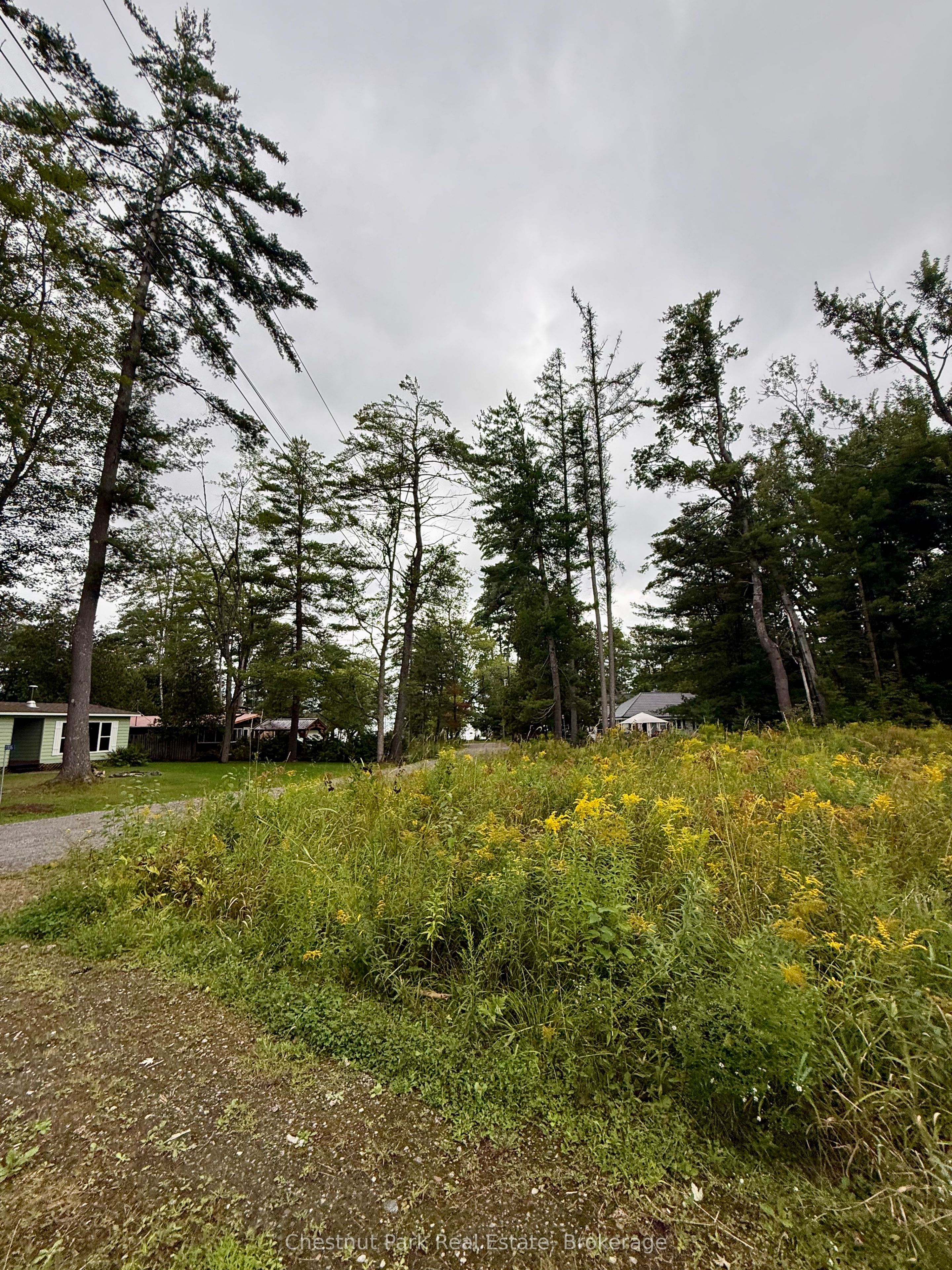 1004 Chippawa Avenue Property Photo 6