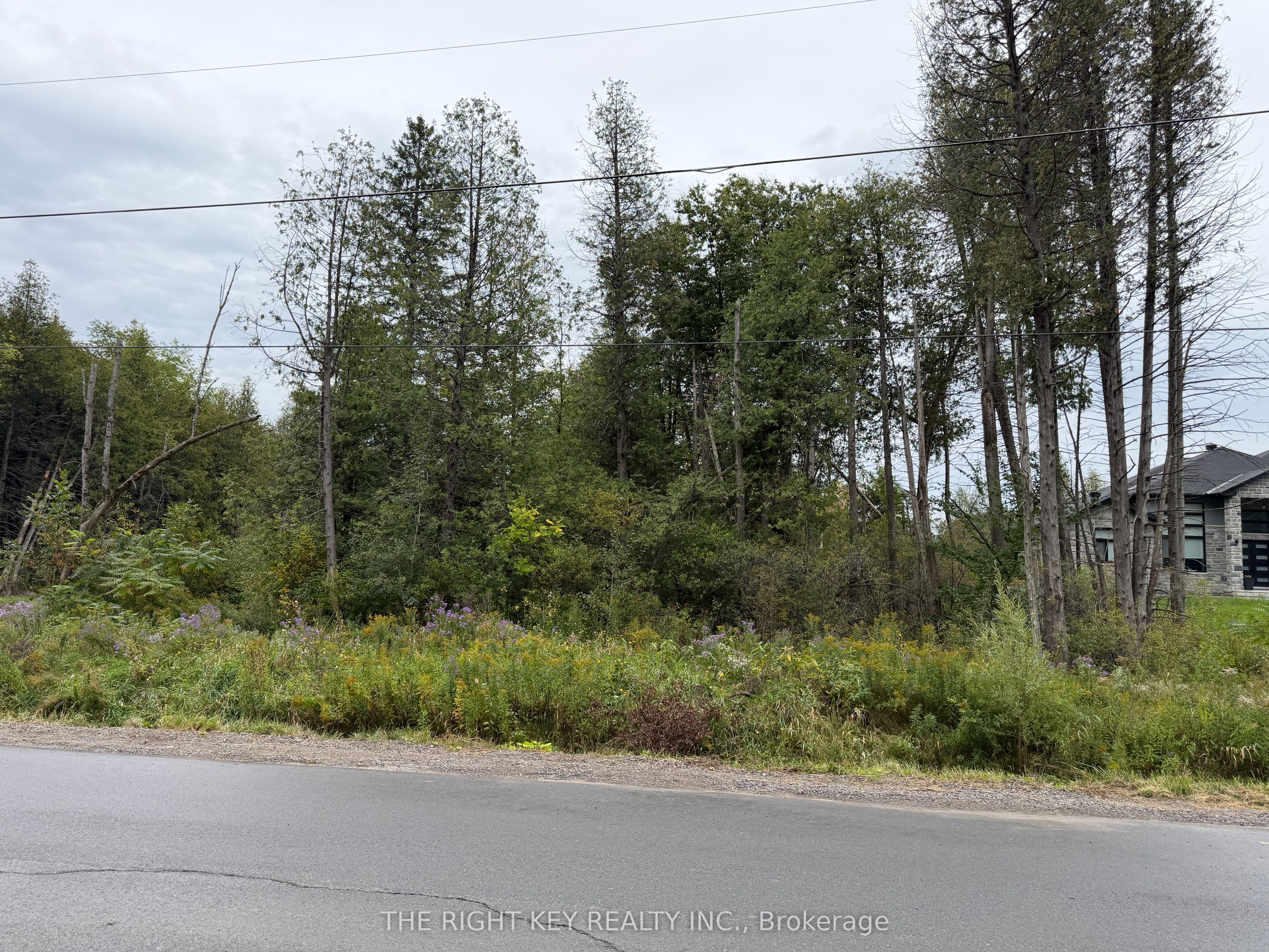 6236 Nick Adams Road Property Photo 1
