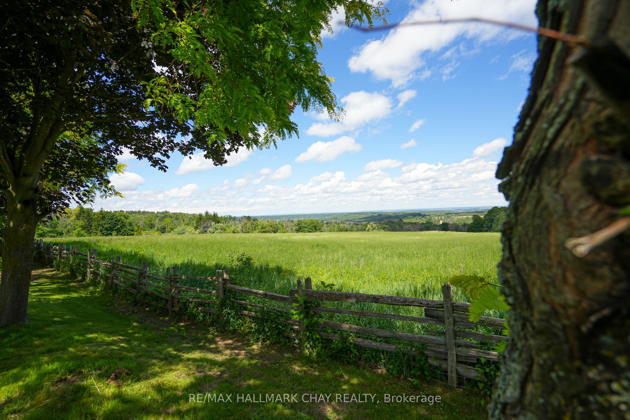 877065 Fifth Line Property Photo 48