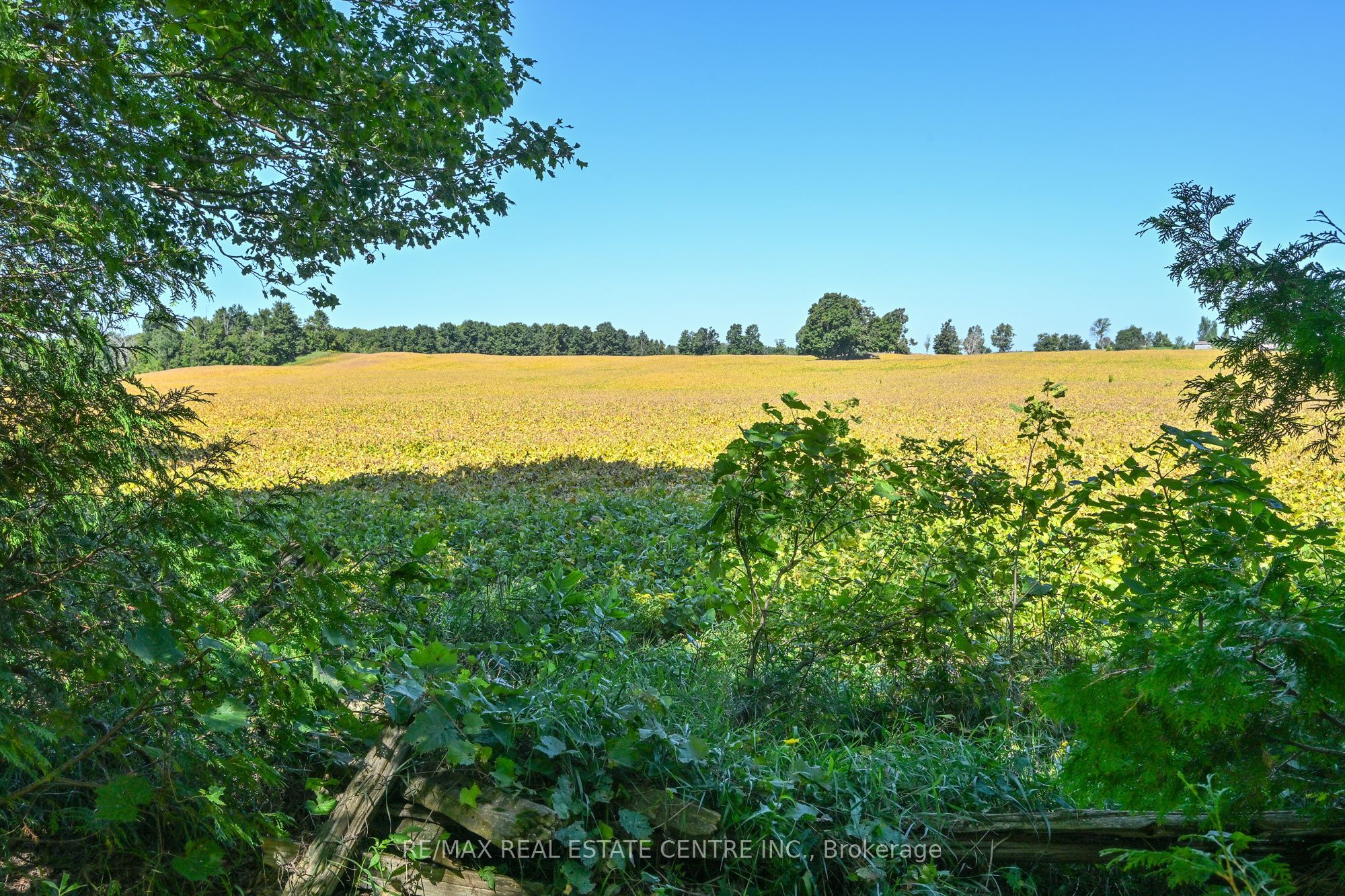 595362 Blind Line Property Photo 25