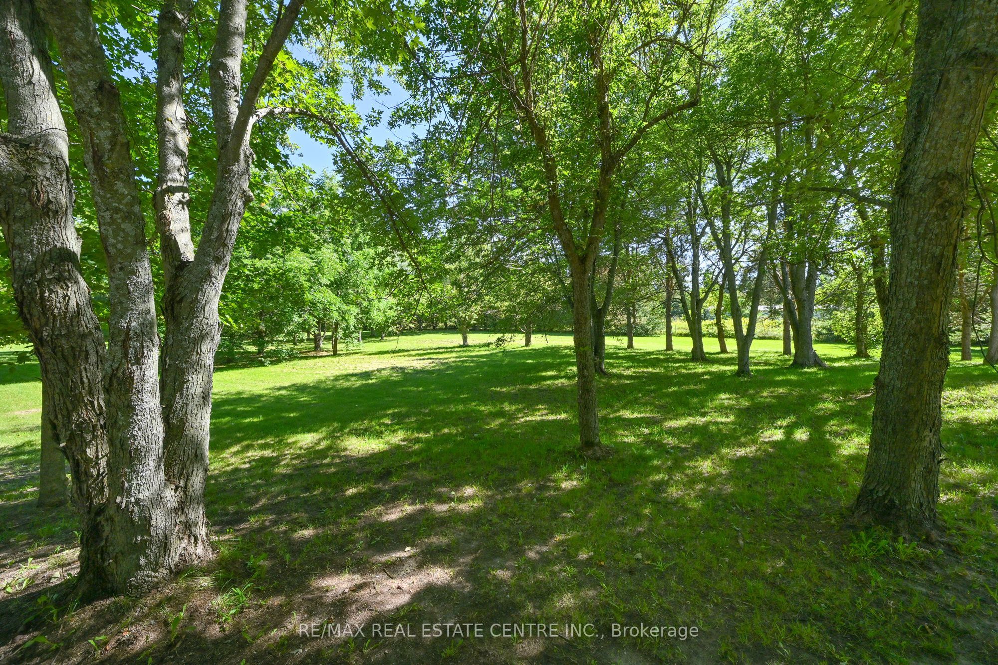 595362 Blind Line Property Photo 26