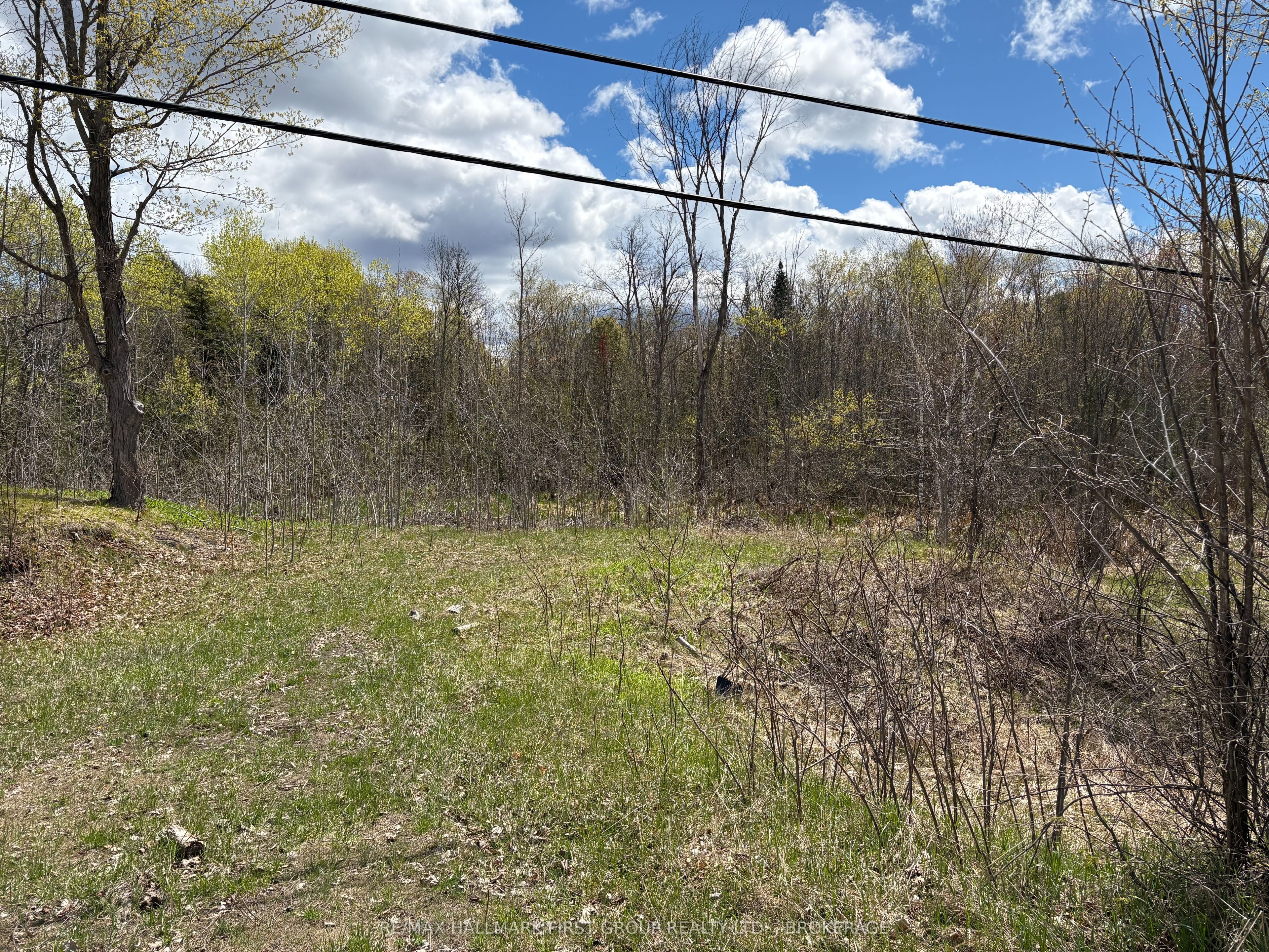 Lot 0 County Road 38 Property Photo 3
