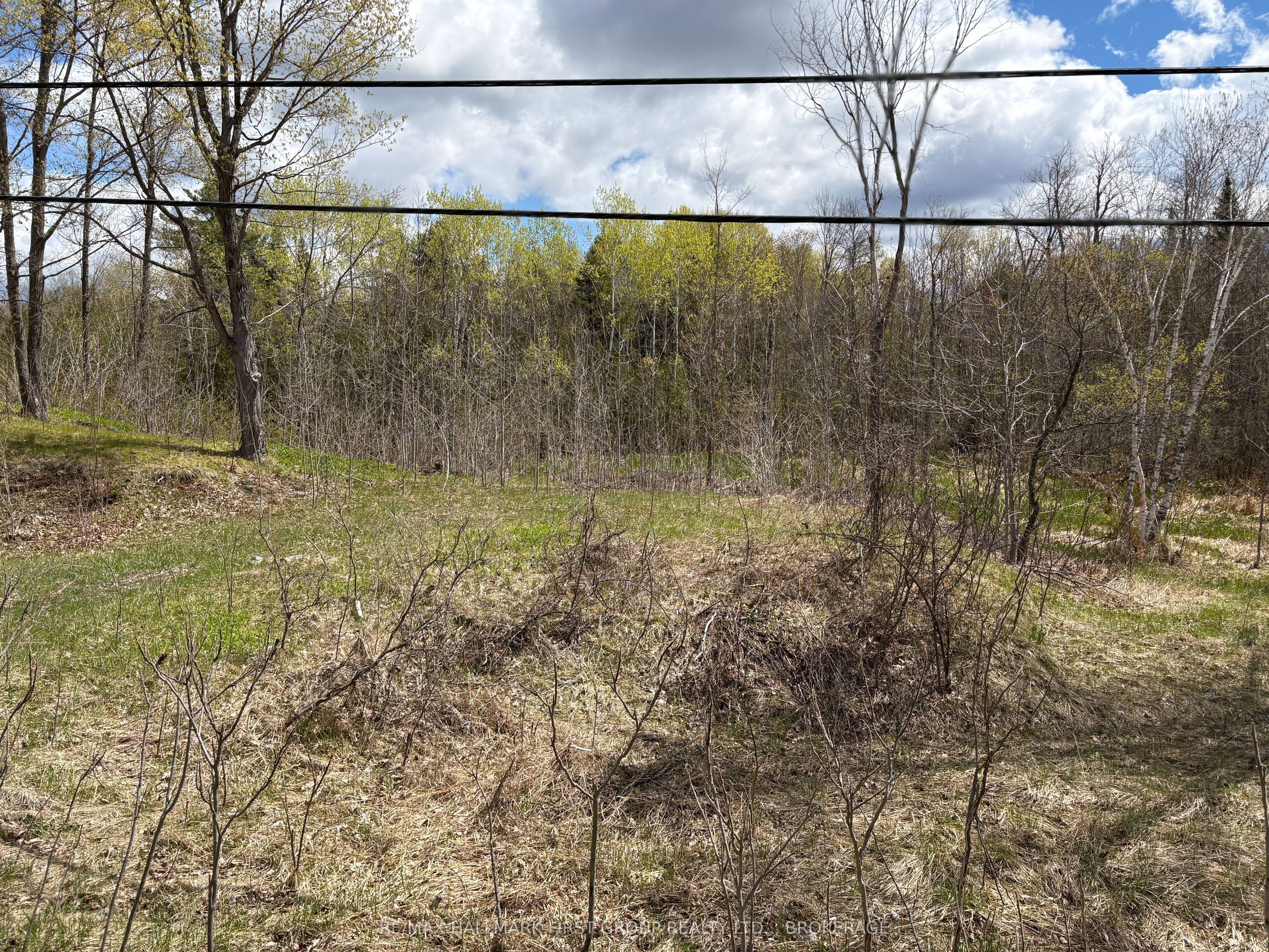 Lot 0 County Road 38 Property Photo 4