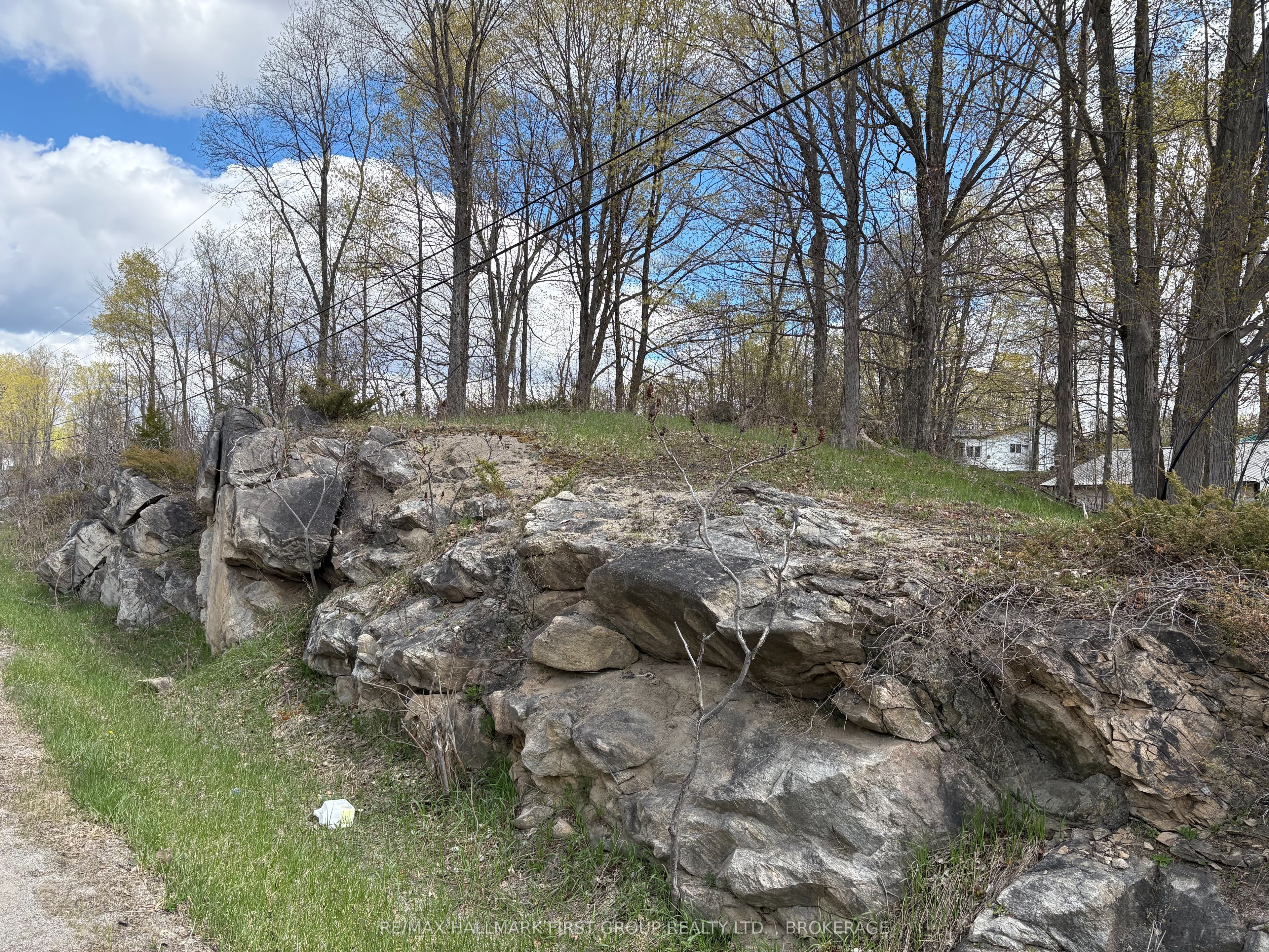 Lot 0 County Road 38 Property Photo 5