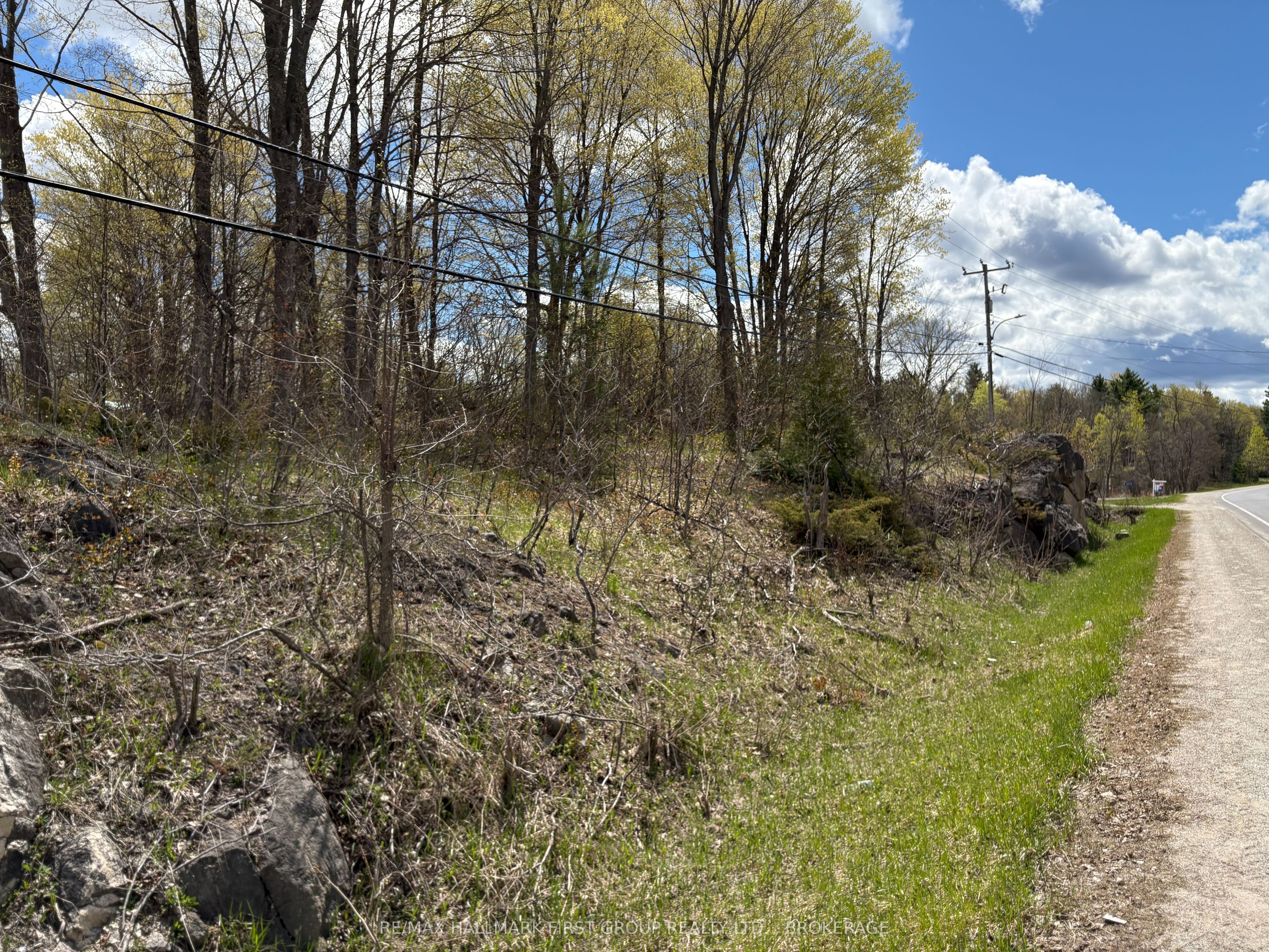 Lot 0 County Road 38 Property Photo 7