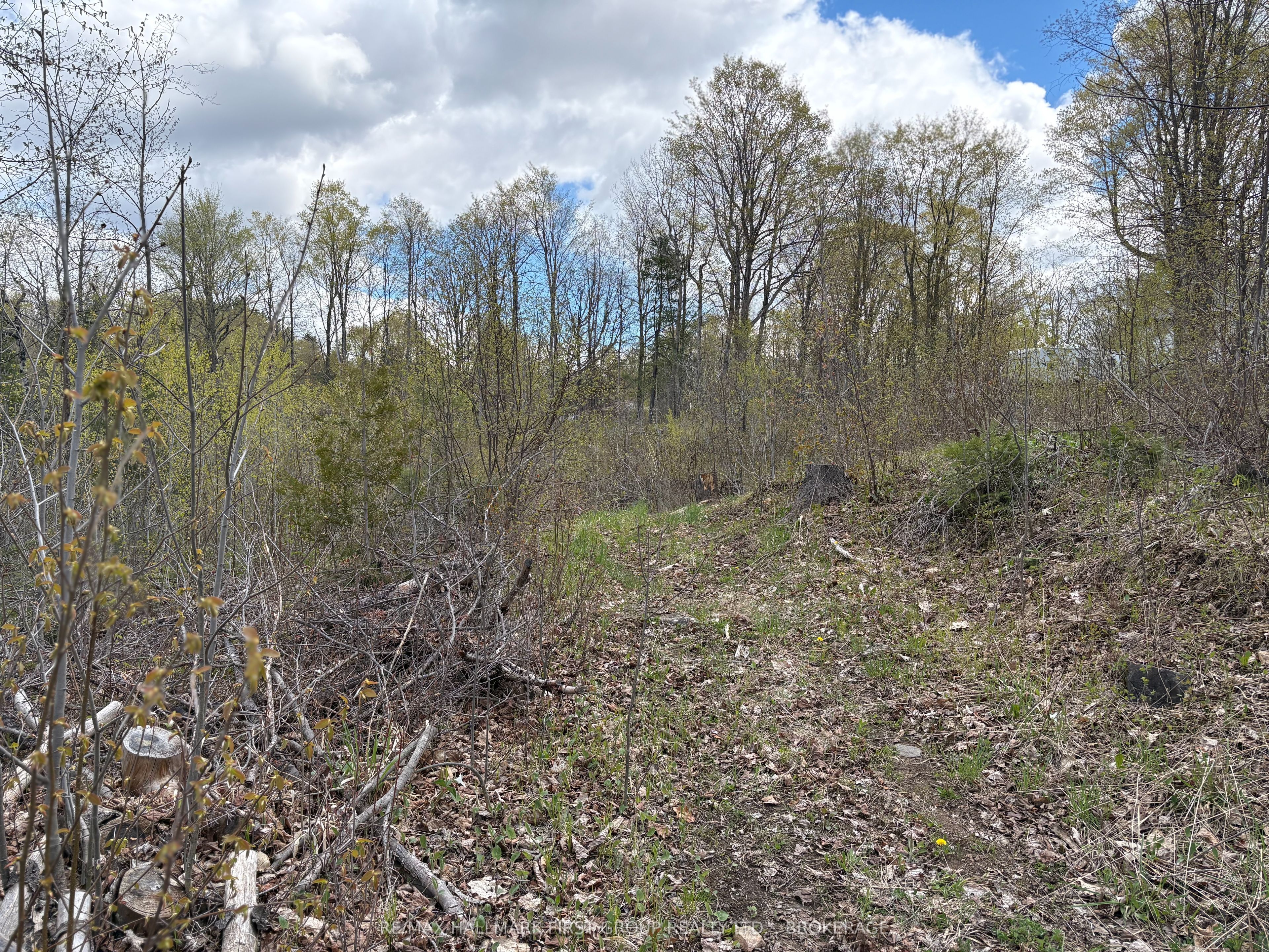 Lot 0 County Road 38 Property Photo 8