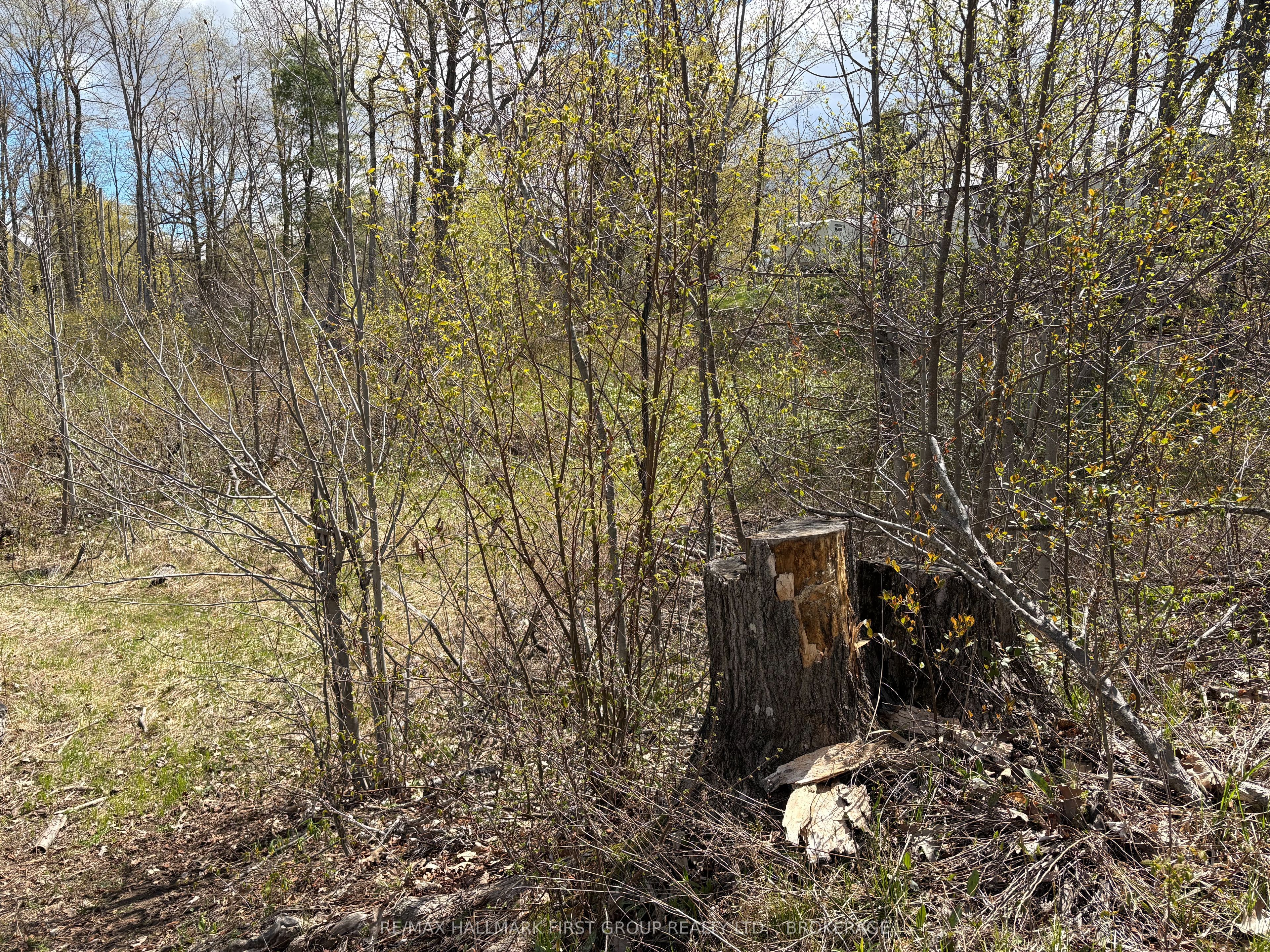 Lot 0 County Road 38 Property Photo 9